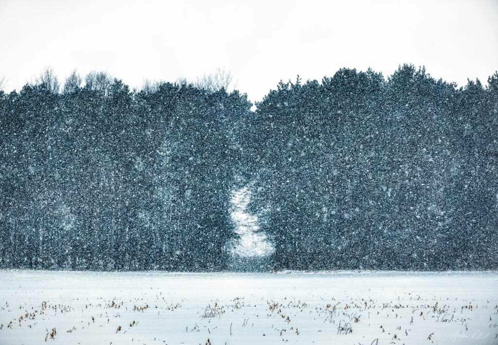 photo of trees in the distance with snowflakes falling in front of them