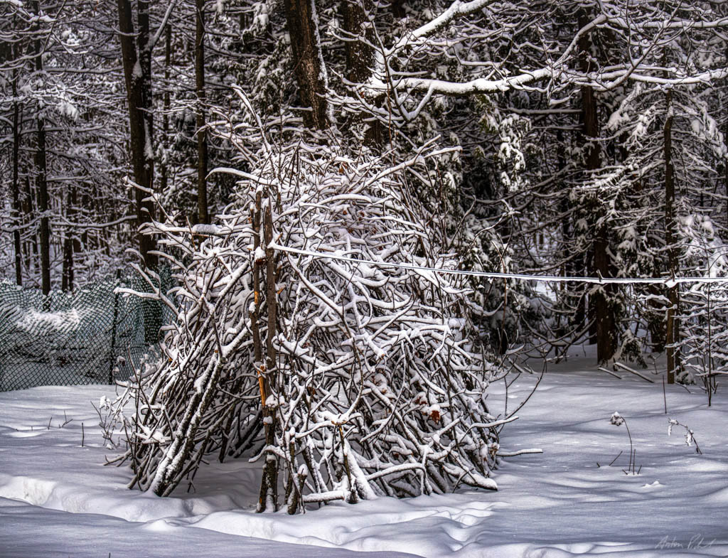 photo of a shelter made of branches covered in snow