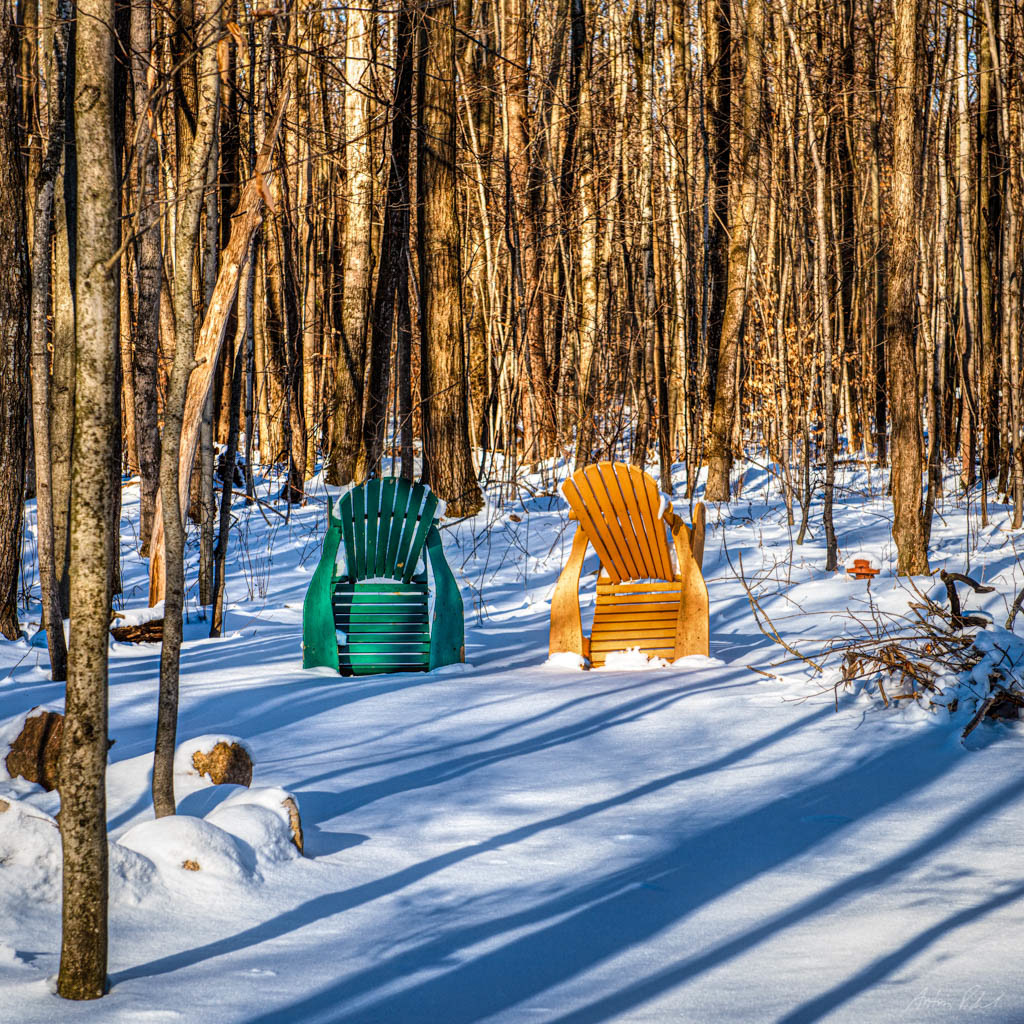 photo of tipped up wooden Muskoka chairs in the forest in winter