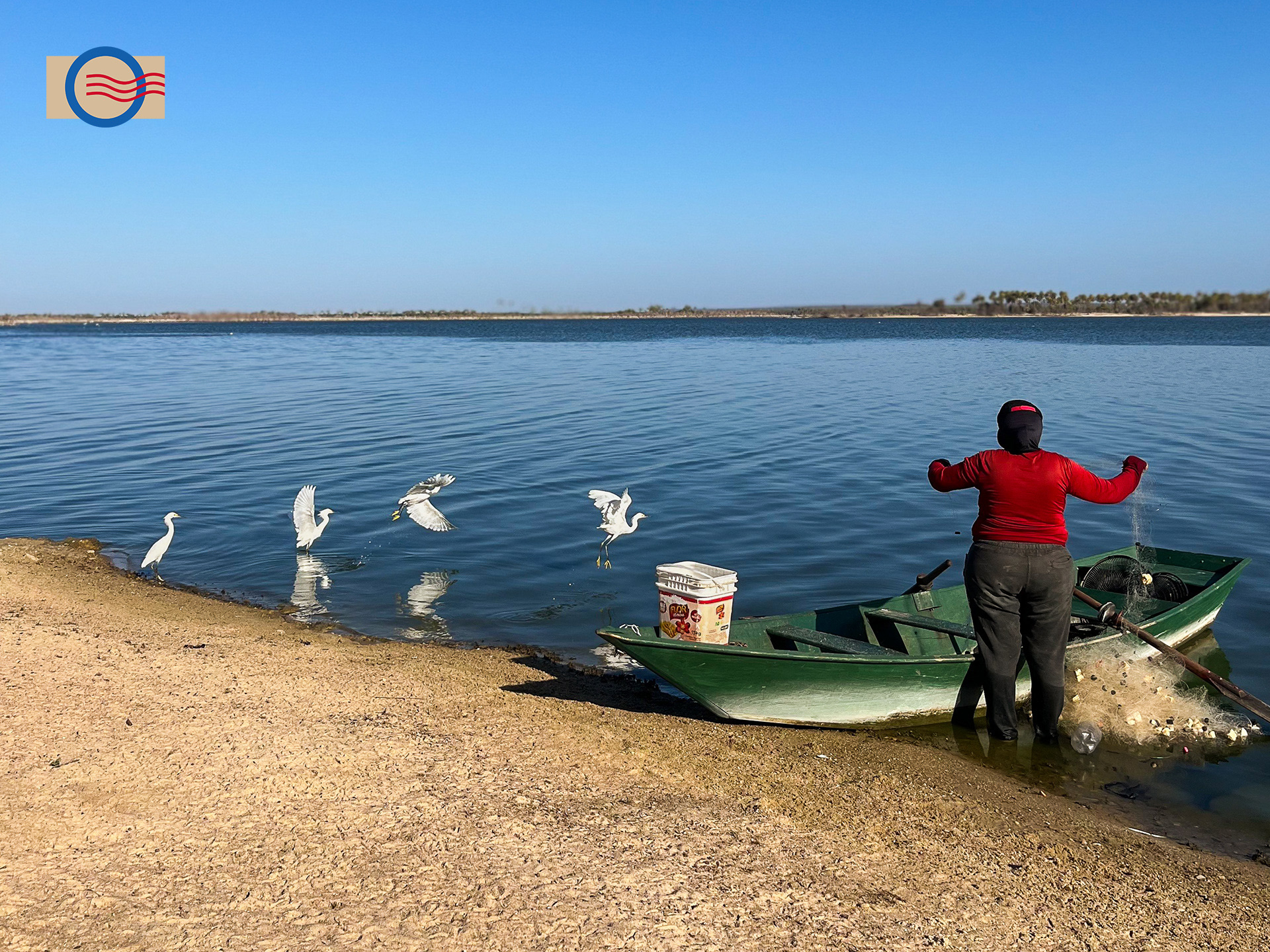 Asas sobre as águas © João Ricardo Fernandes