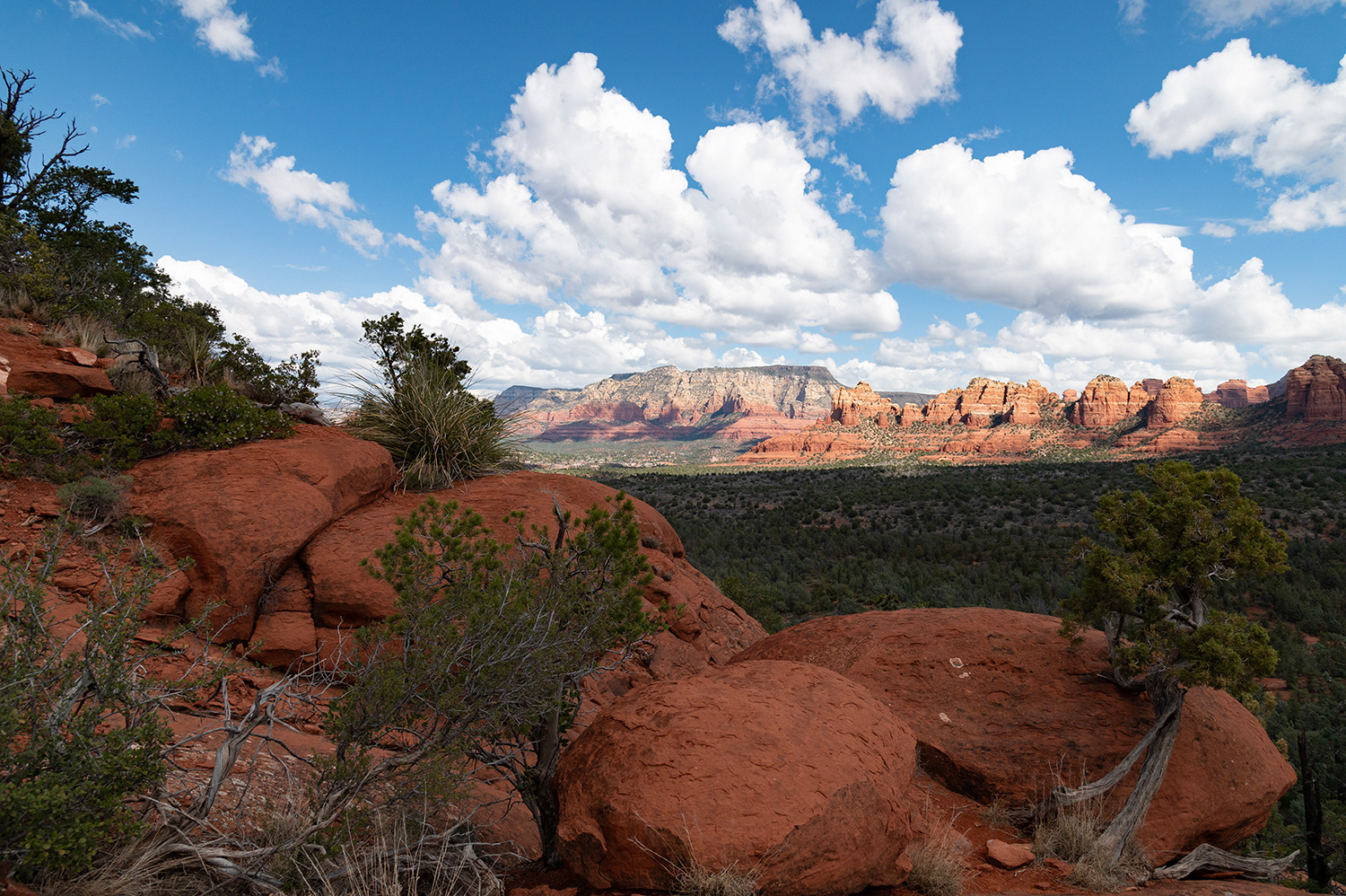 Red Sandstone Buttes of Sedona