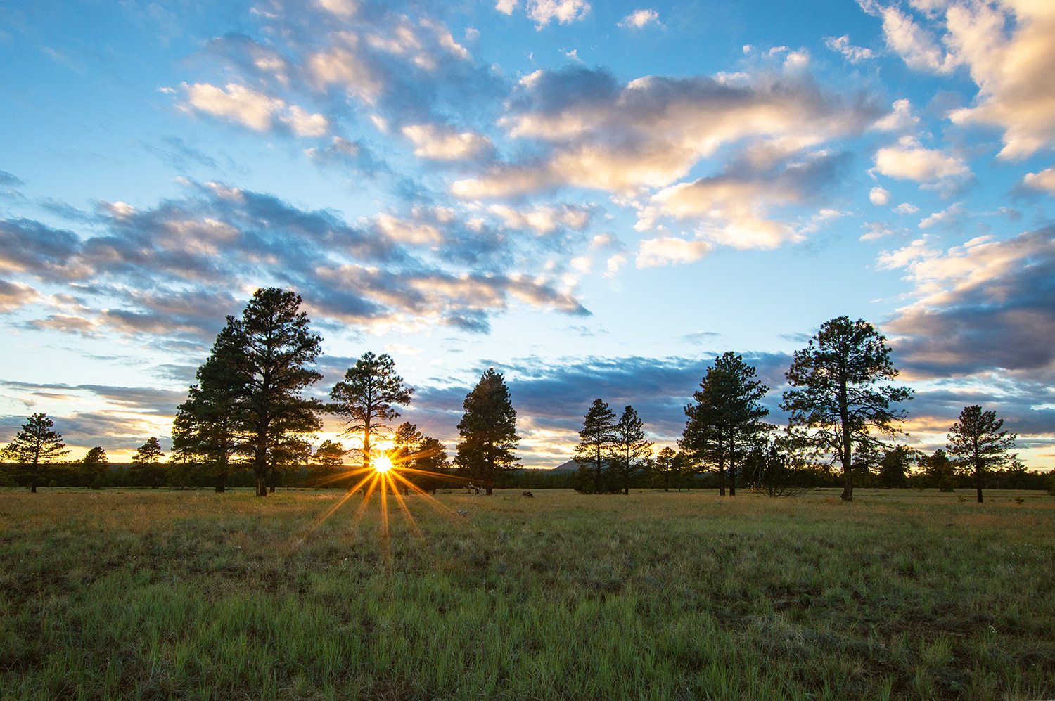 Buffalo Park, Flagstaff
