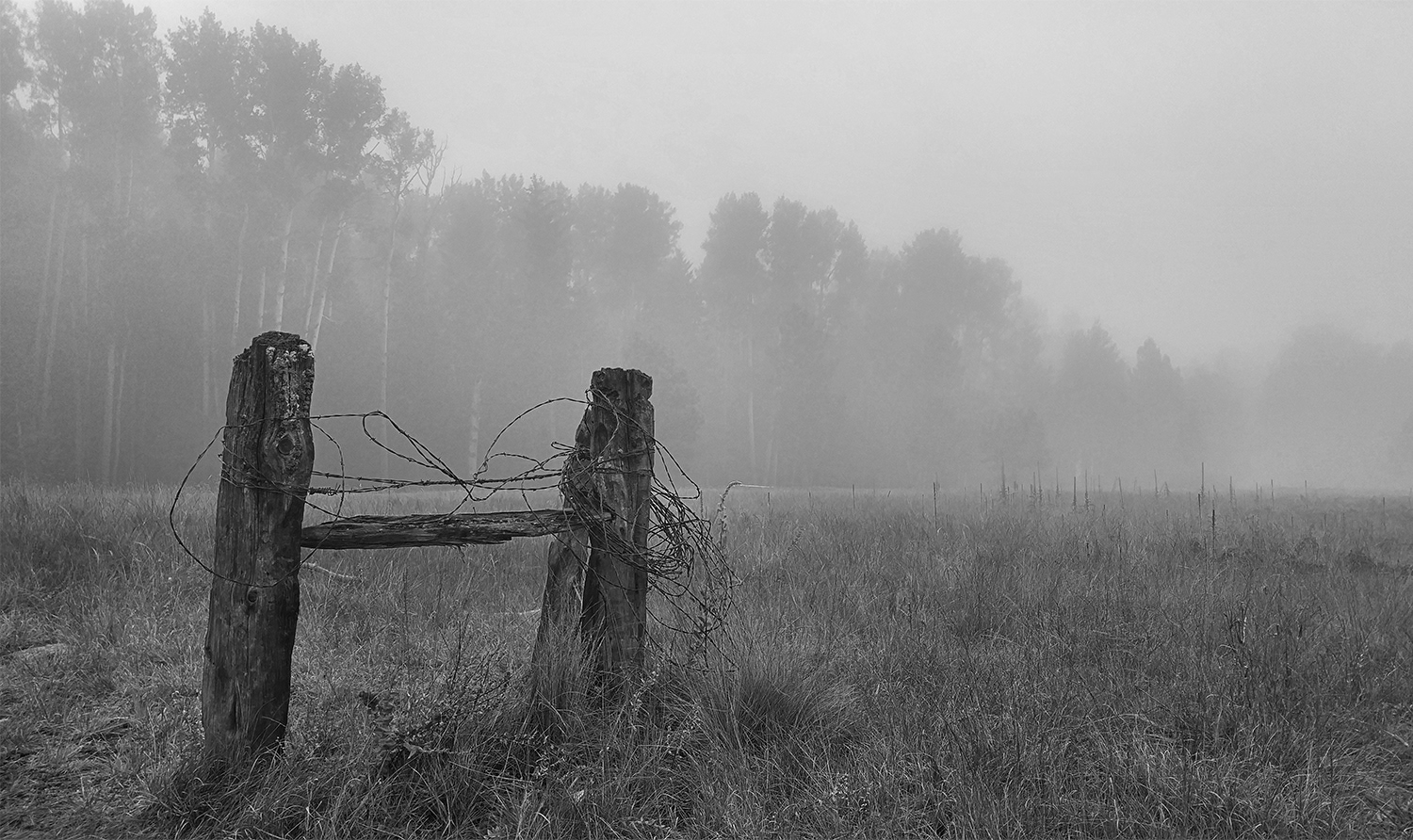 Old Fence Post with Wire