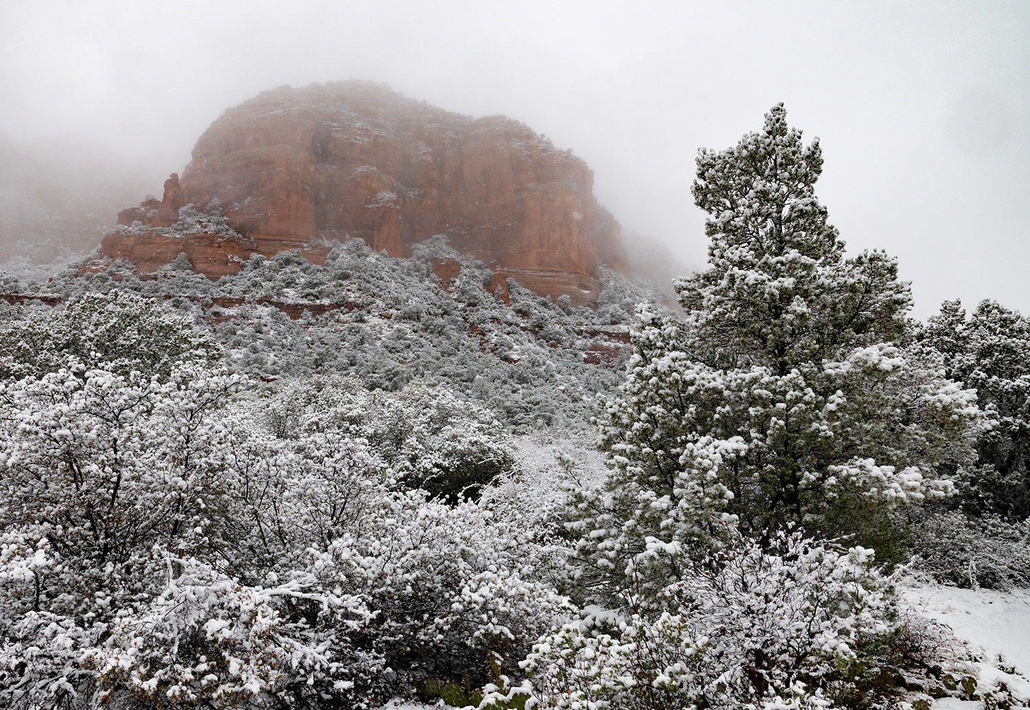 Winter in Sedona