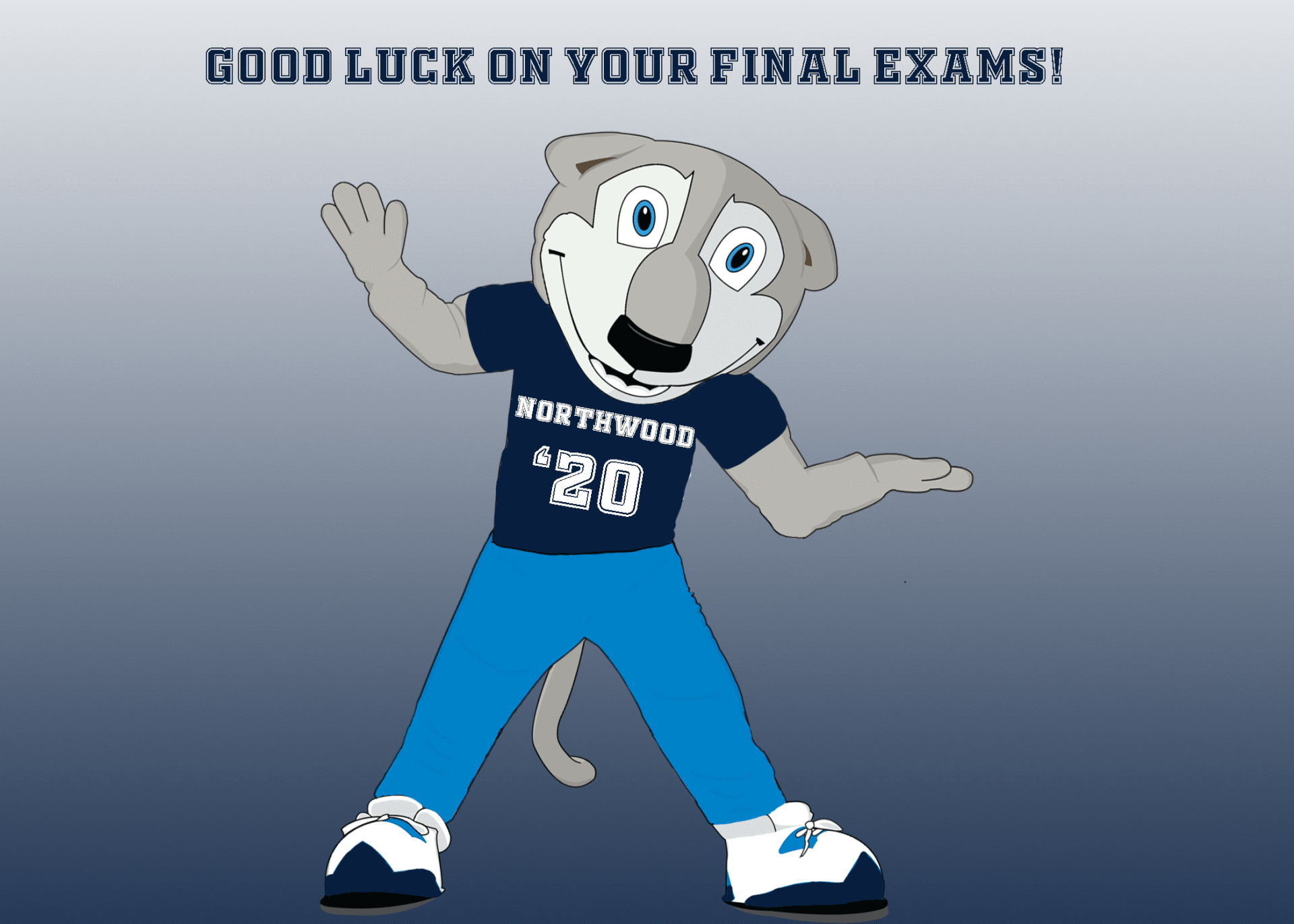 Email Campaign to incoming students and prospective student