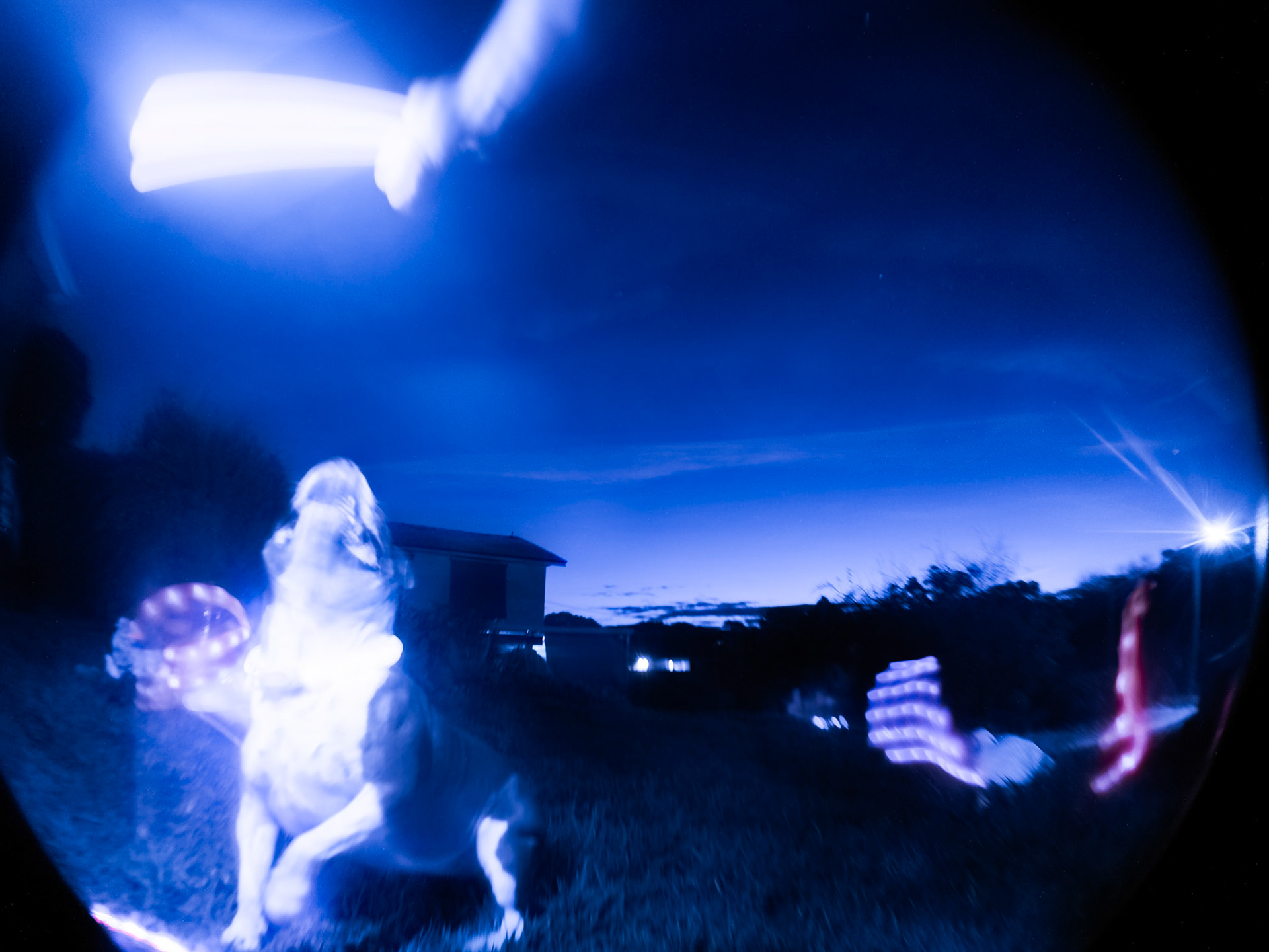 Capture time: 00:00:00