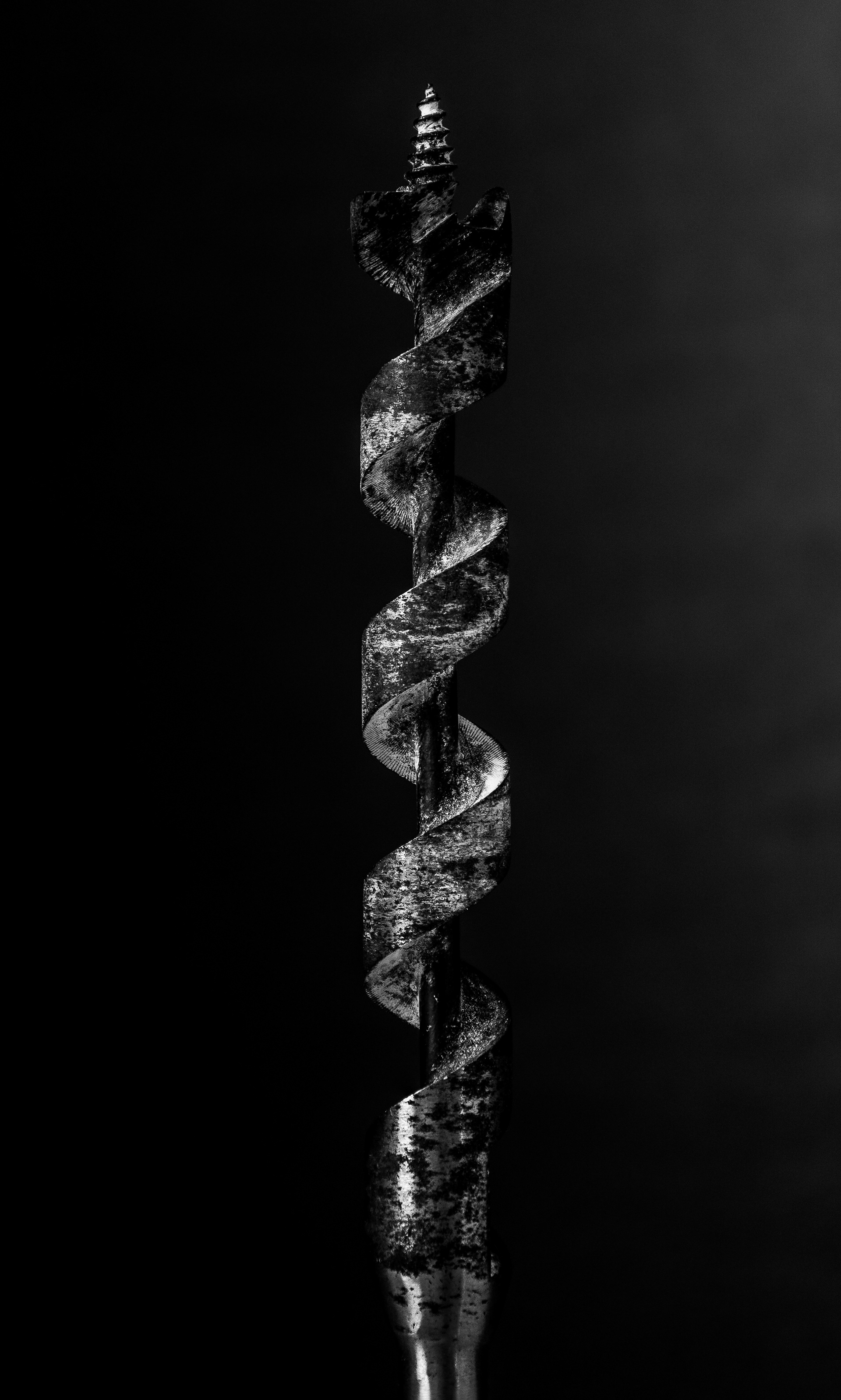Drill Bit BW