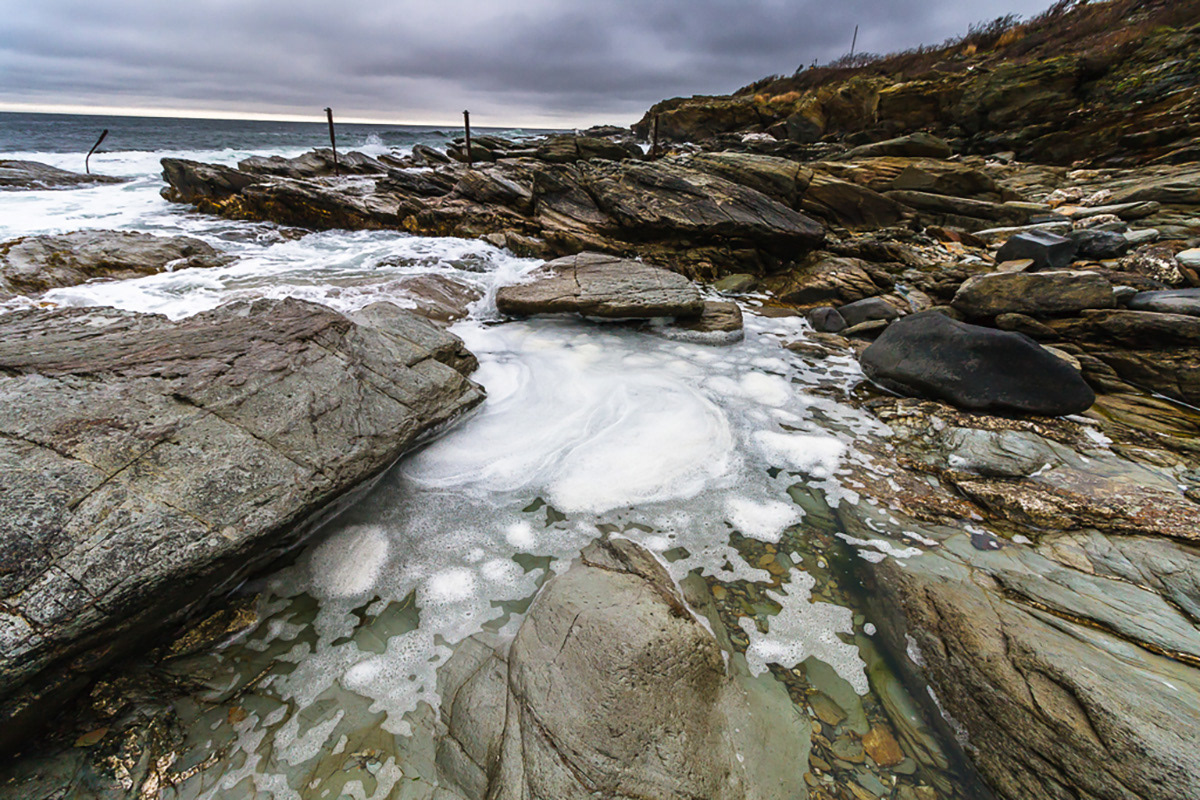 Beavertail