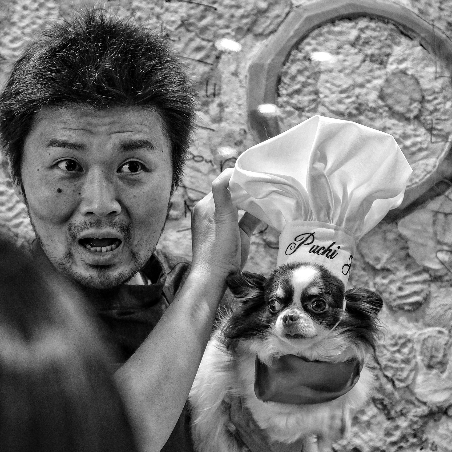 Hasagawa san Den & Pucci Jr