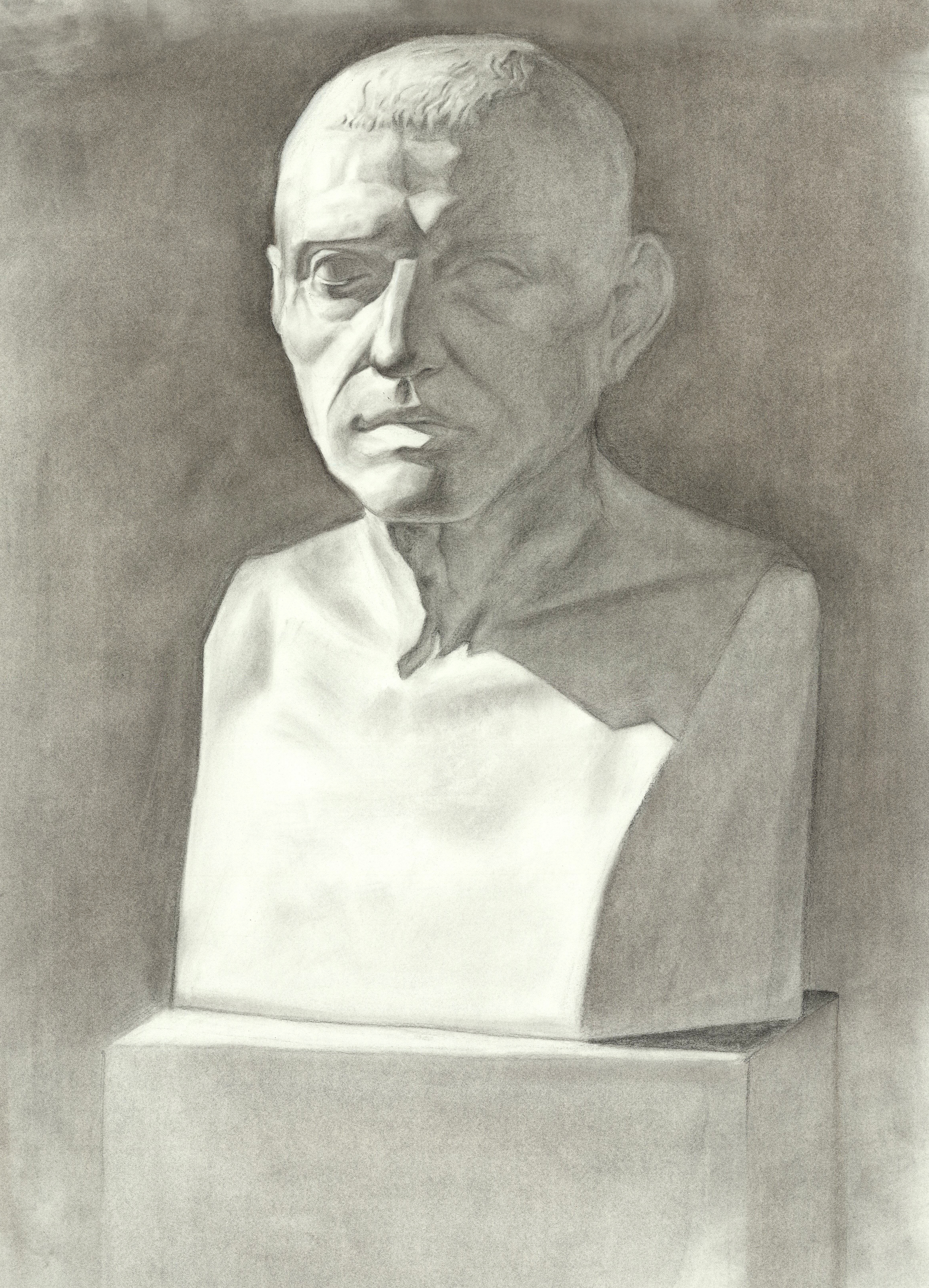 Cicero Bust - Vine Charcoal