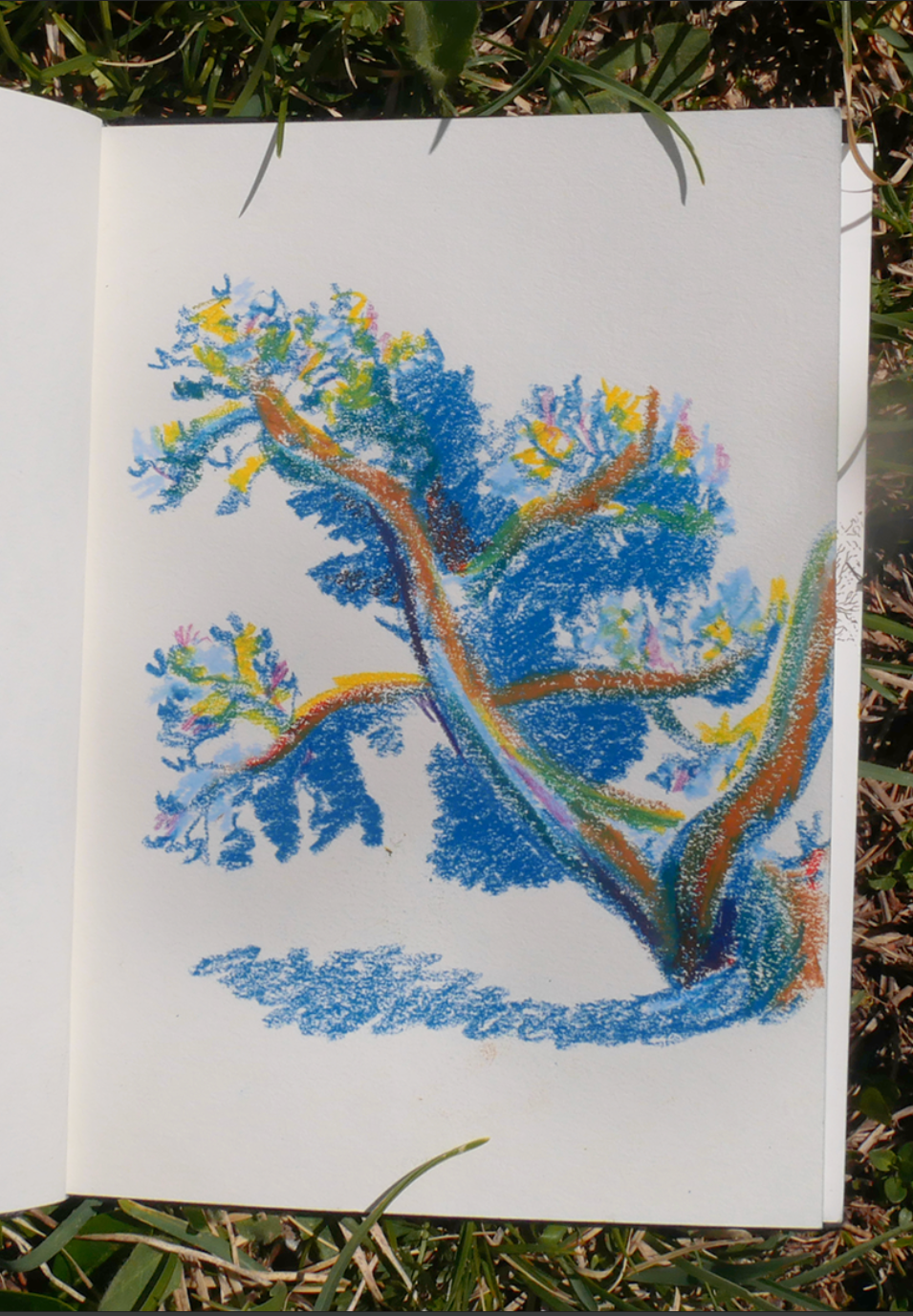 Présentation d'un exercice proposé dans les stages de rando croquis. Dessin à la craie grâce sur carnet de croquis. Dessiné dans le massif de la chartreuse. 