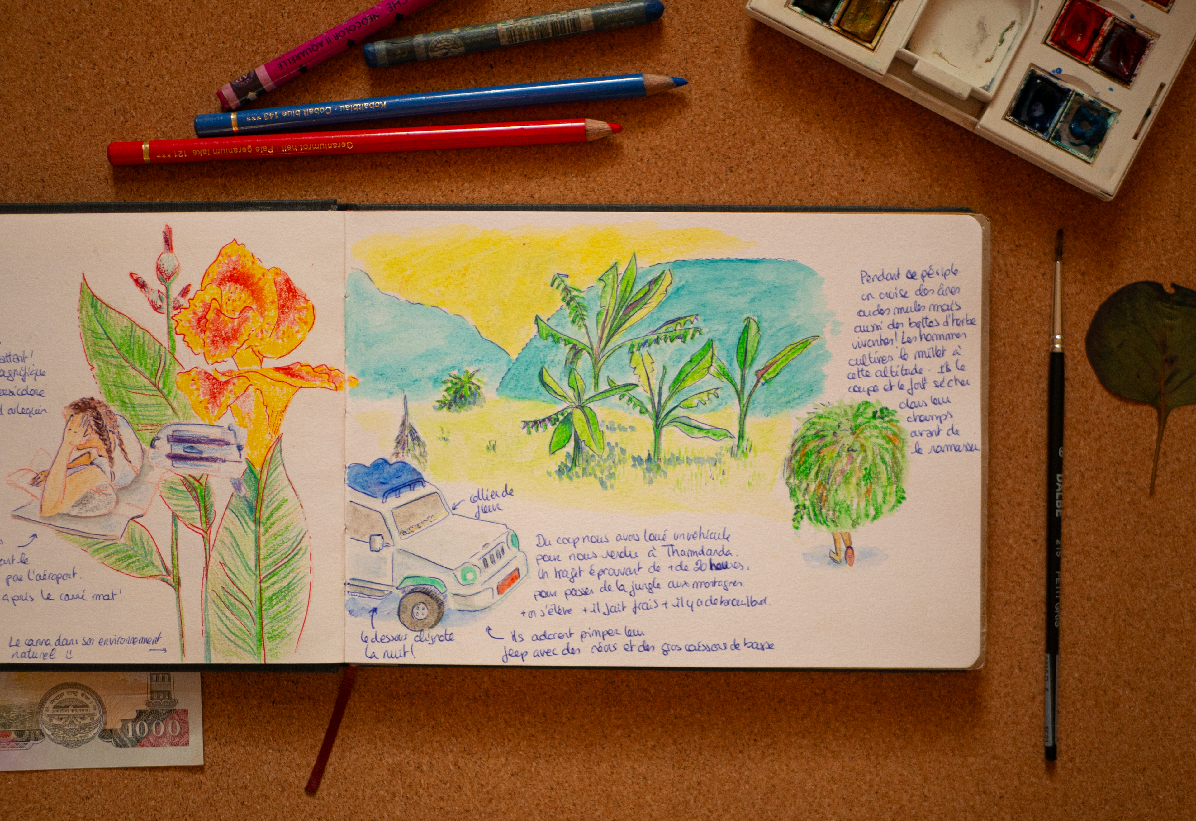 carnet de voyage - Népal