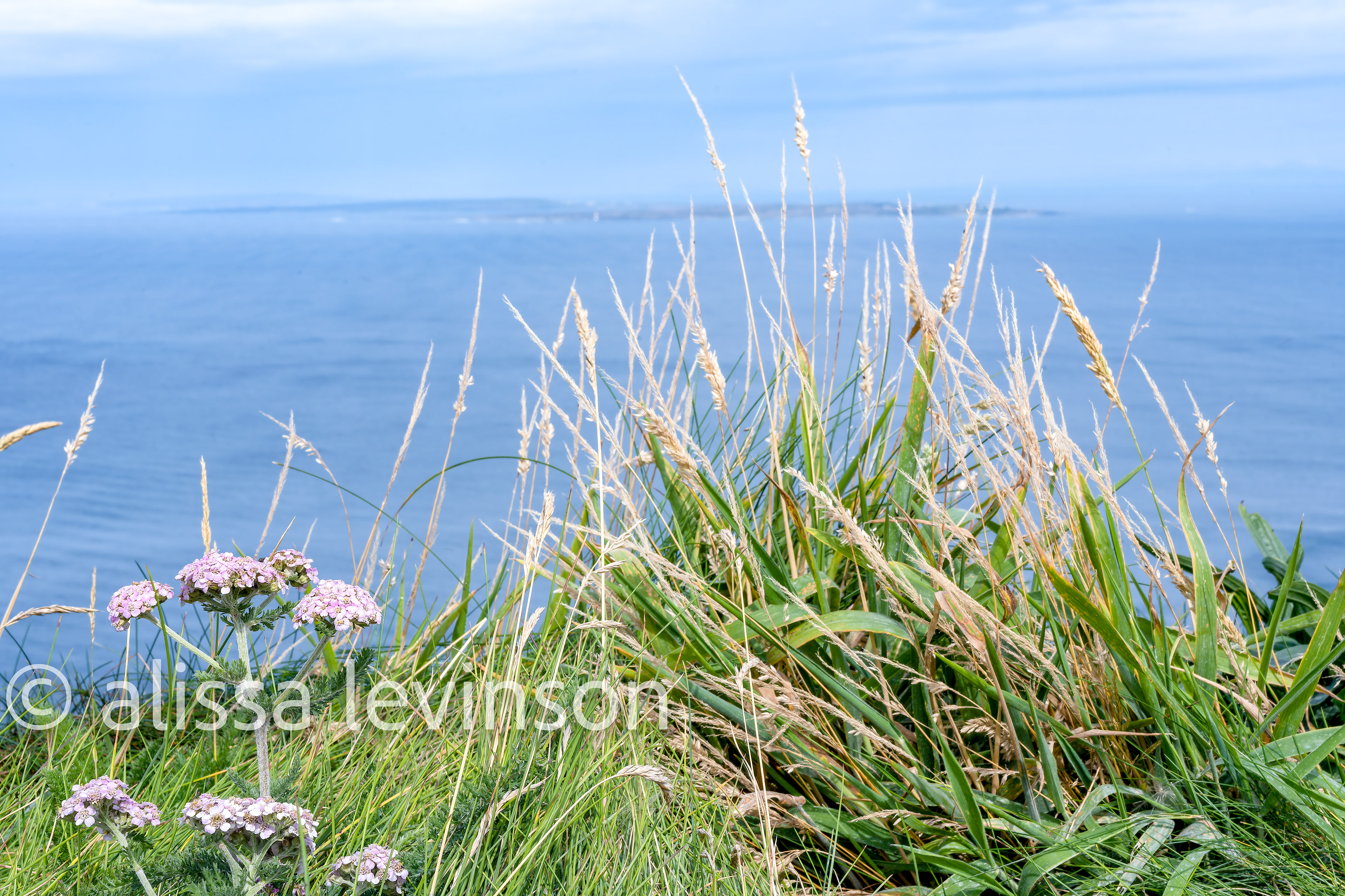 Irish Coast