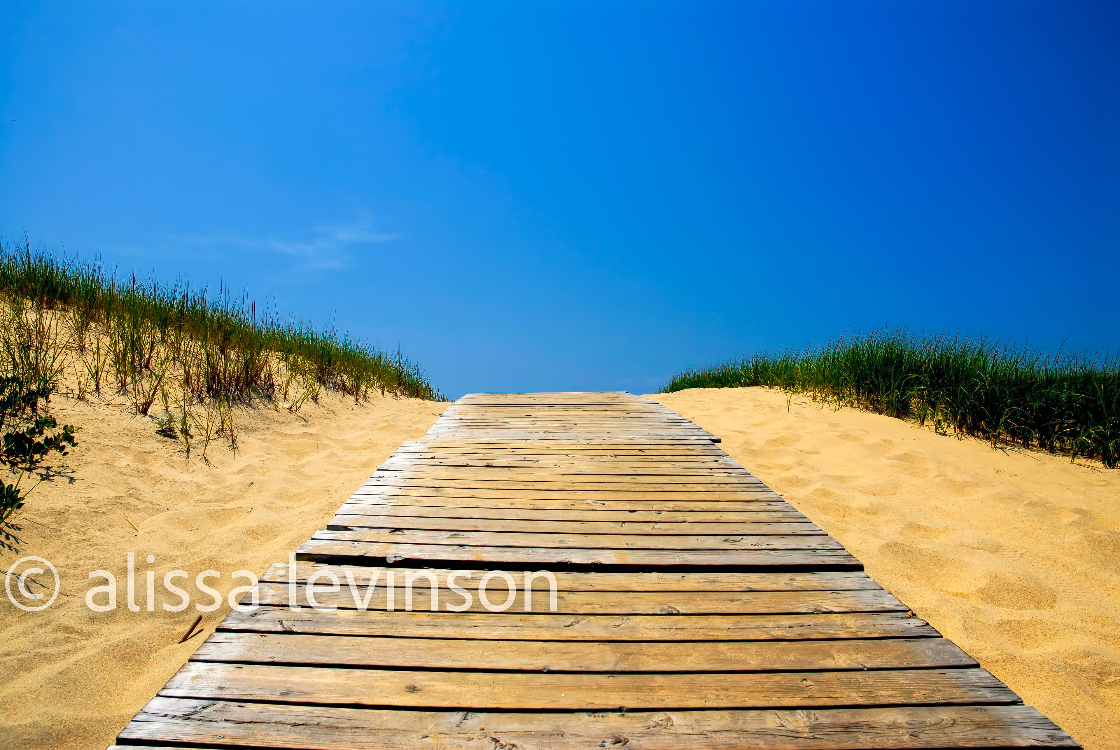 Beach Path, Martha's Vineyard