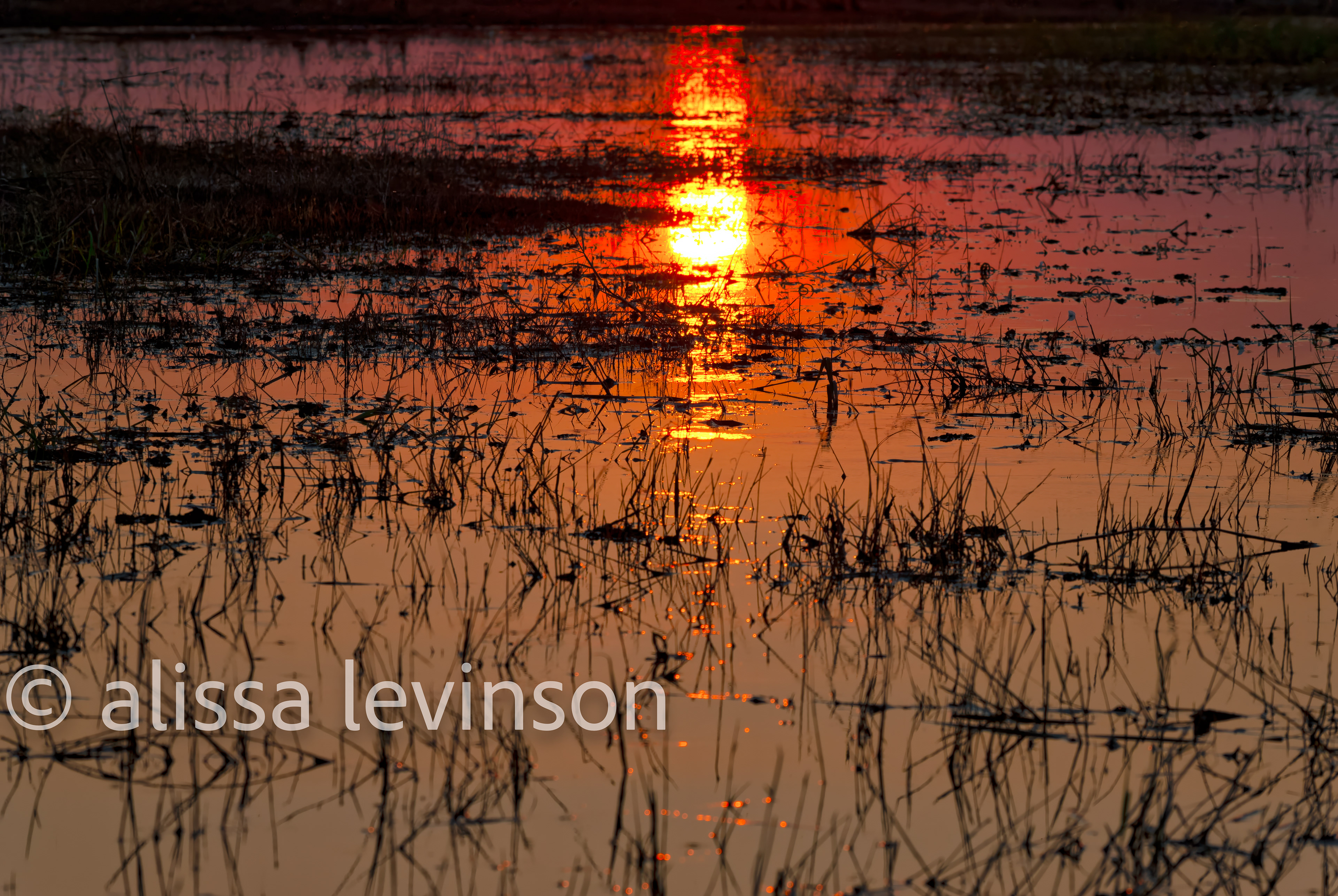 Sunset,  Chobe River