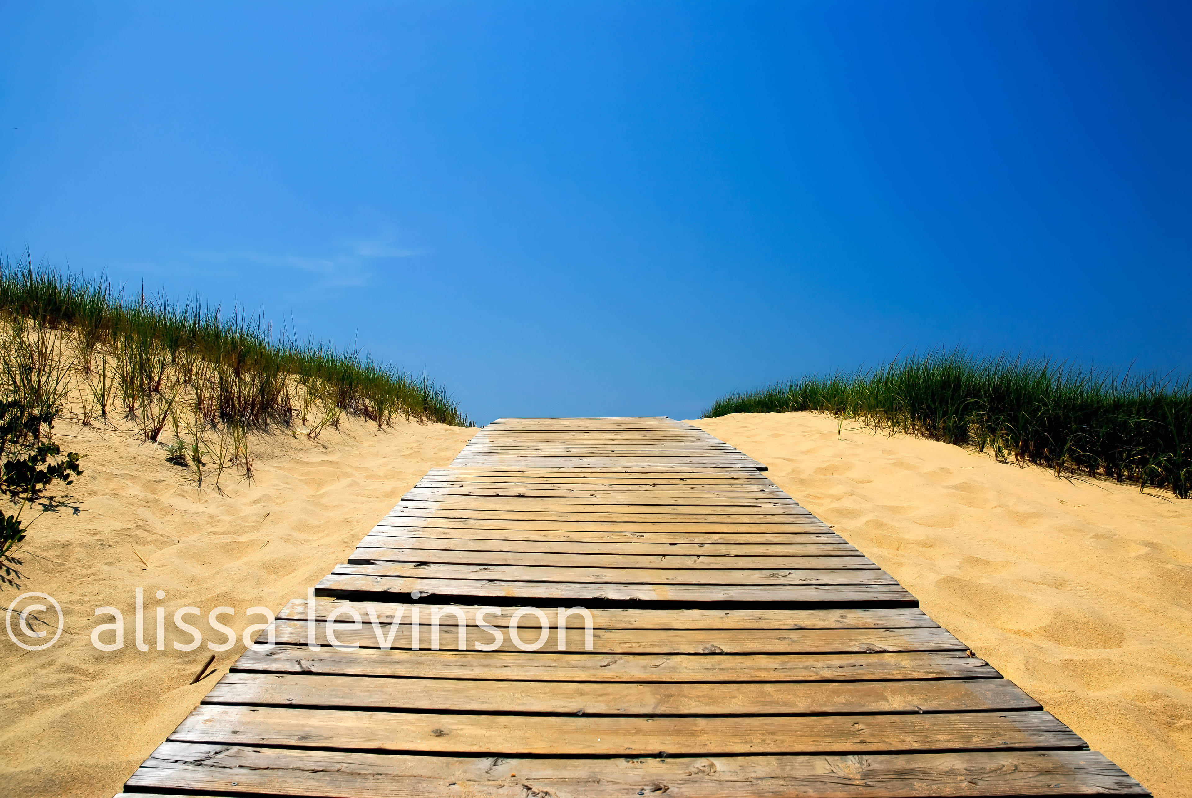 Beach Path, Martha's Vineyard