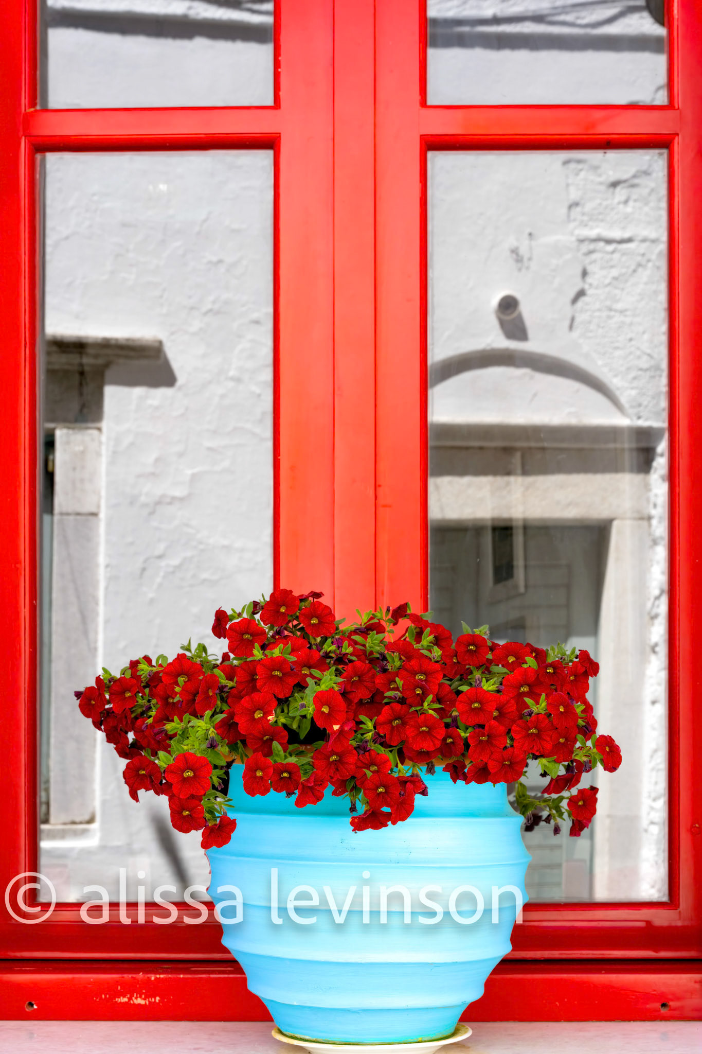 Red Window