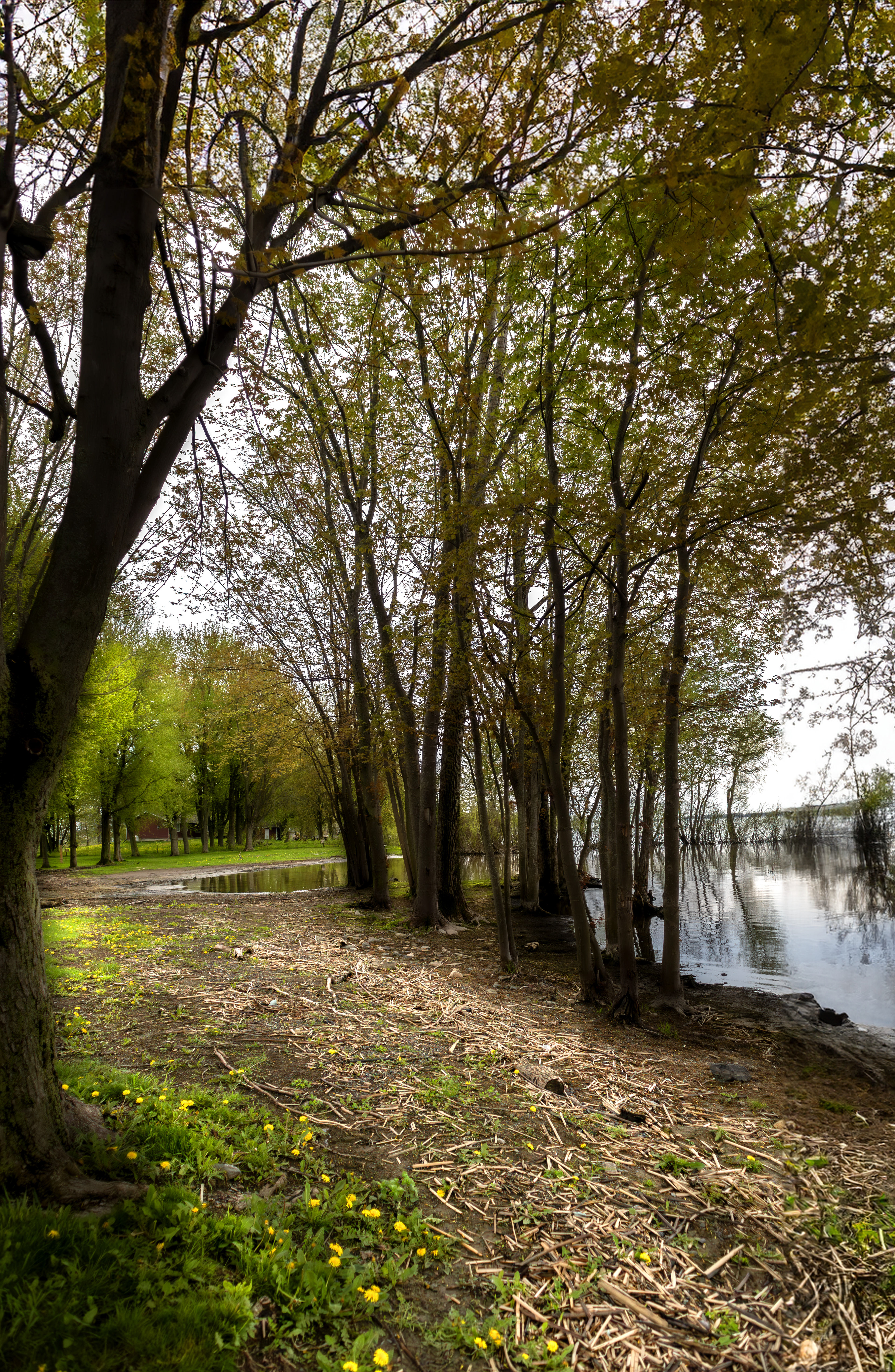 Petit shooting dans le coin Quai Ryan de Sabrevois