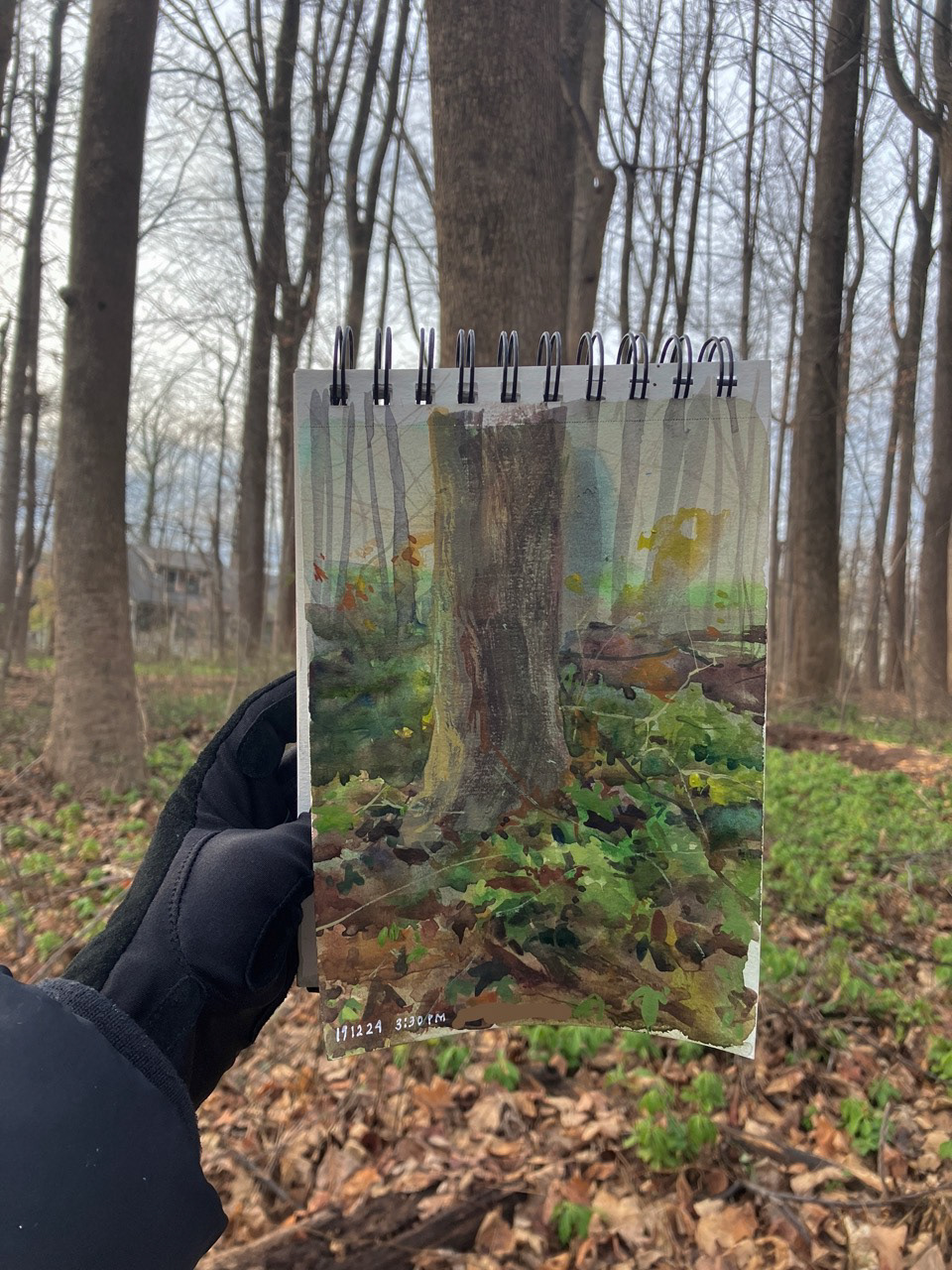 watercolor plein air