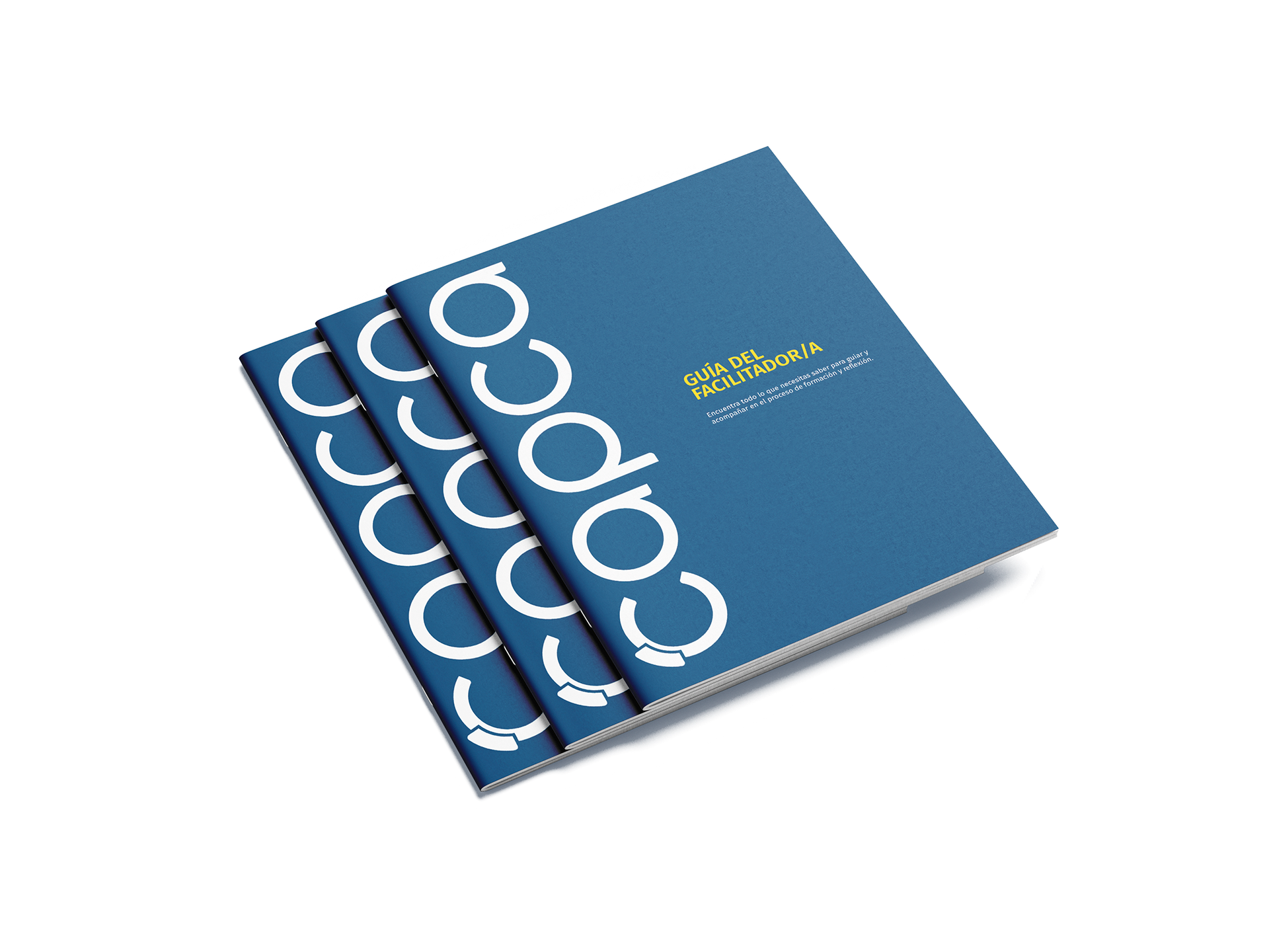 Facilitator guide mockup