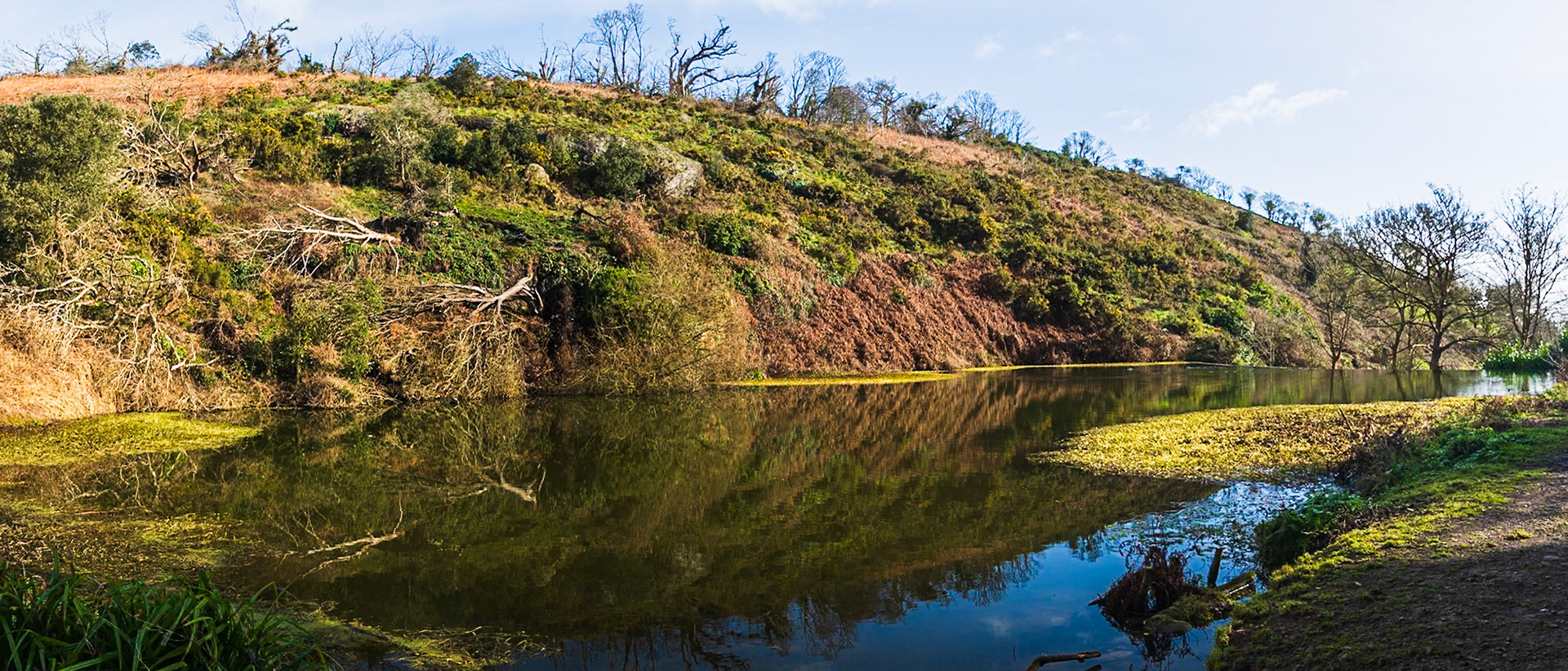 A lovely reflection in the small reservoir of St Catherine's woods.