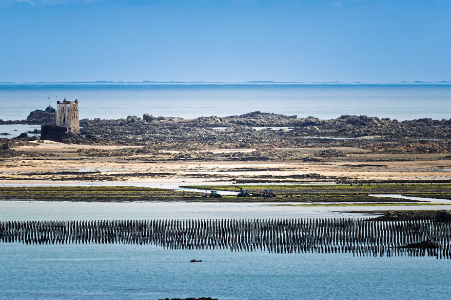 Low tide in the afternoon photo taken from the back of Mont Orgueil Castle, showing Seymour Tower and the mussel beds harvesting in the midground.