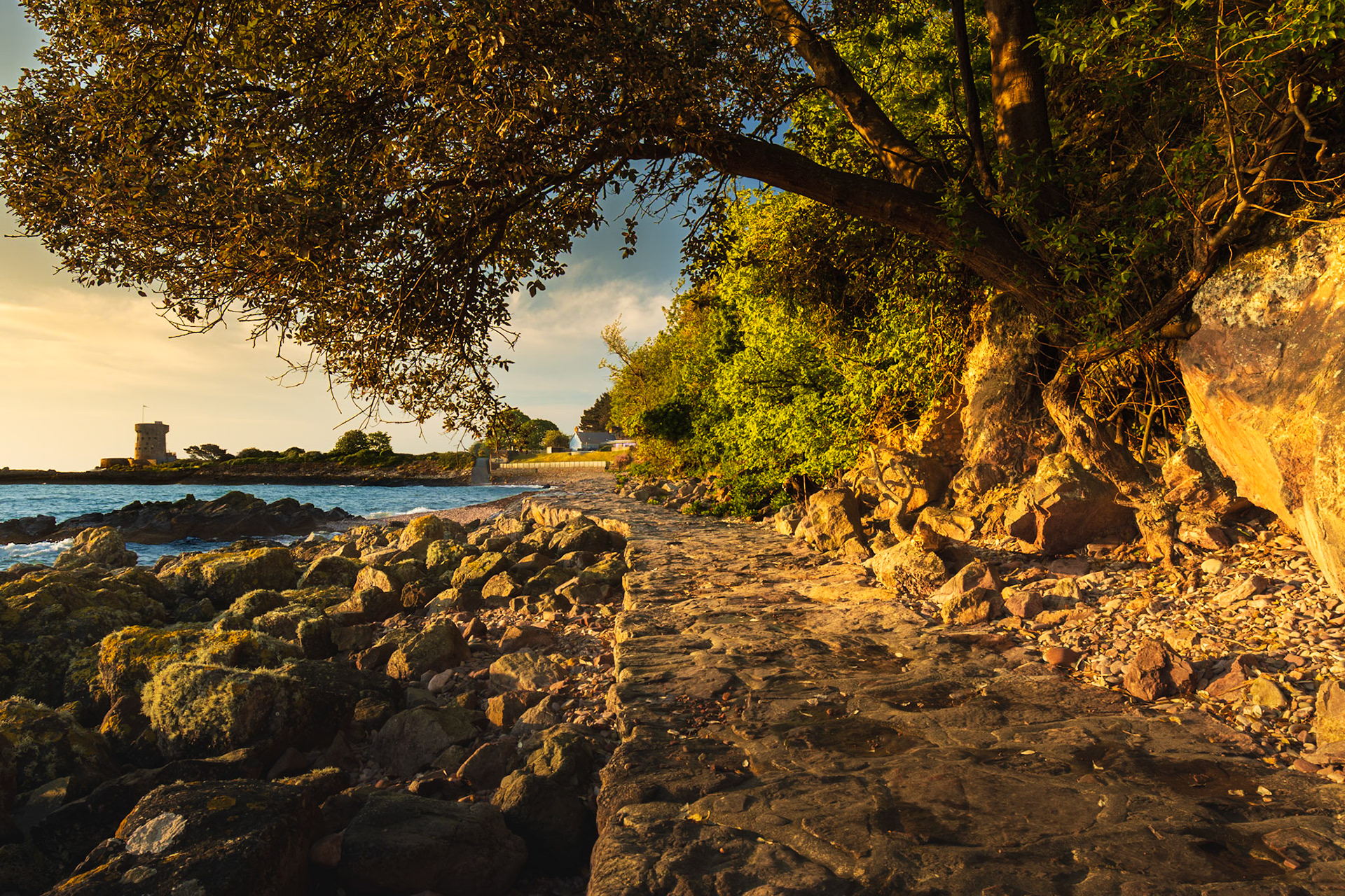 Early morning Sun on a path on the east coast.