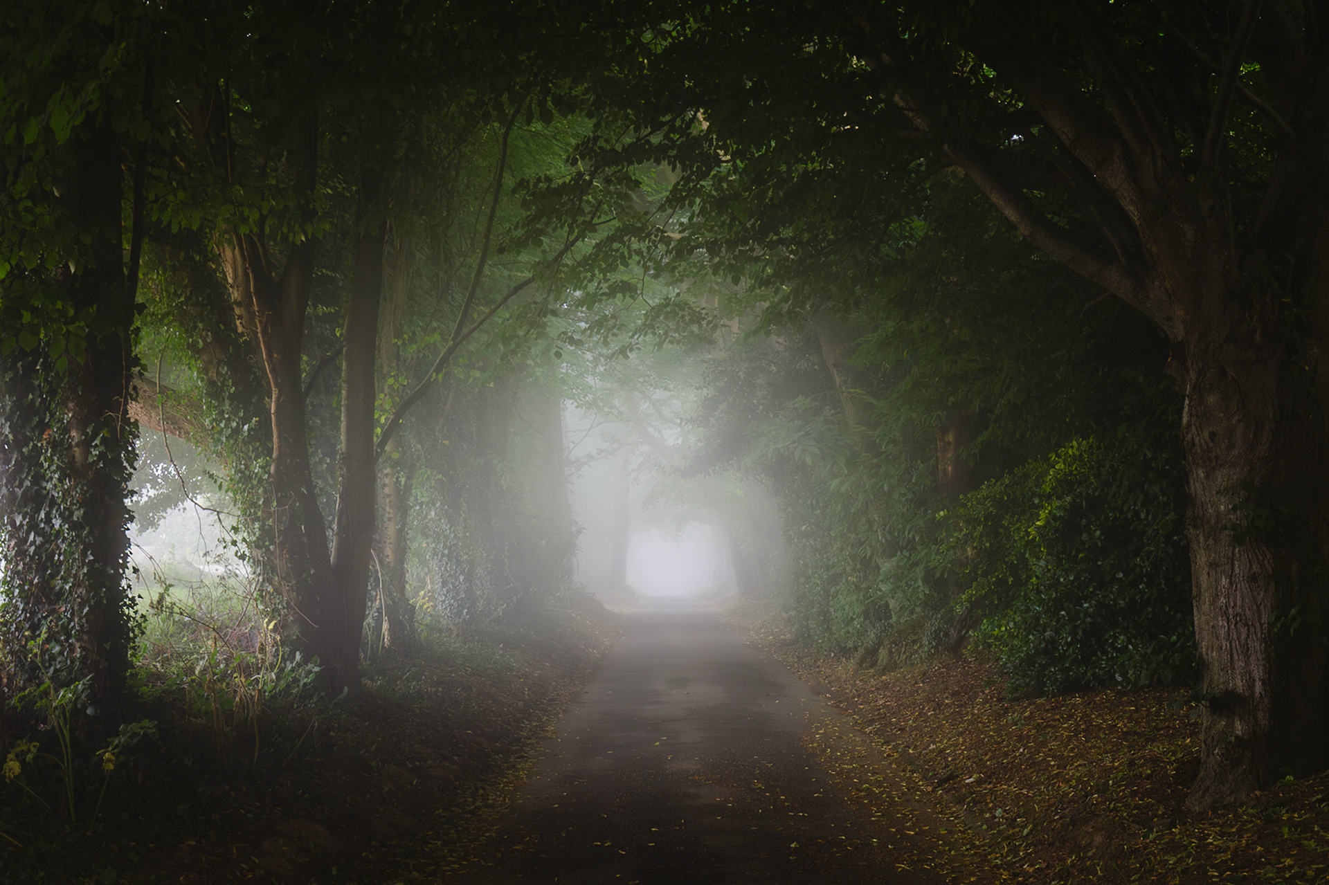 La Chasse des Demoiselles Bandinel in the mist looking east.