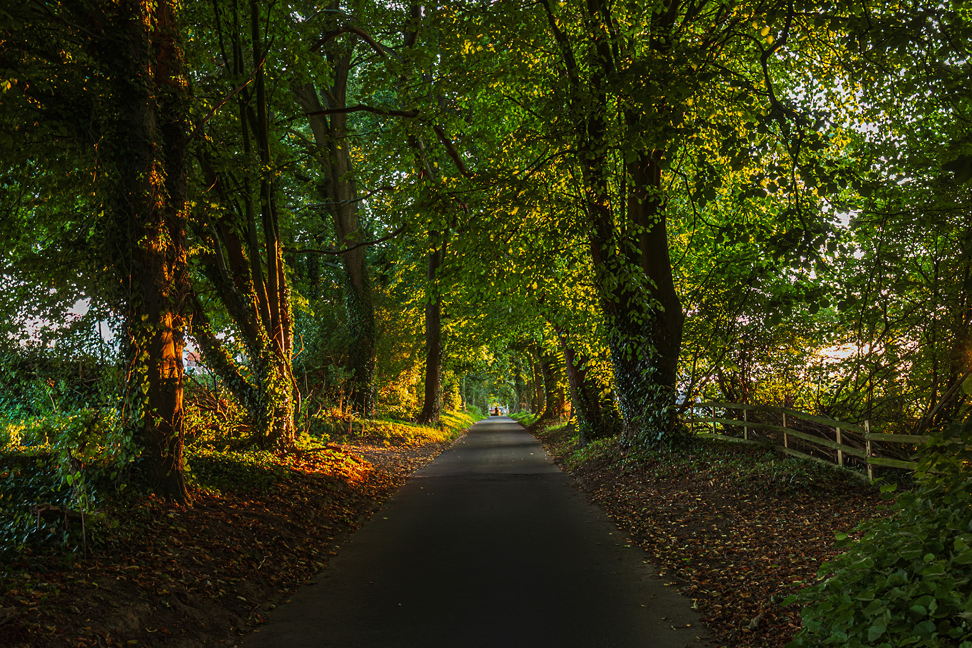 La Chasse des Demoiselles Bandinel in the evening light looking west.