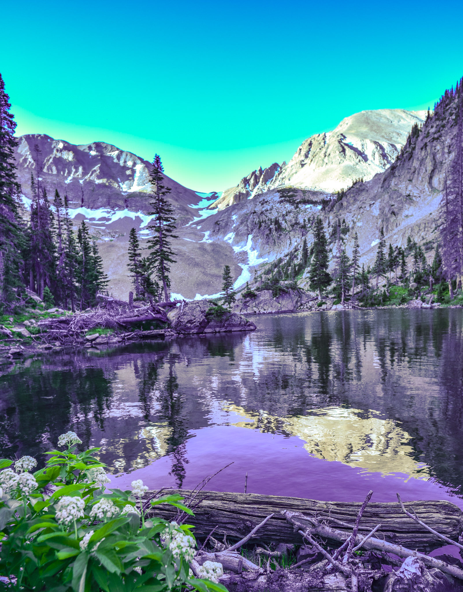 Ok, not spectacular but growing on me.  @kpphotogalleries.com