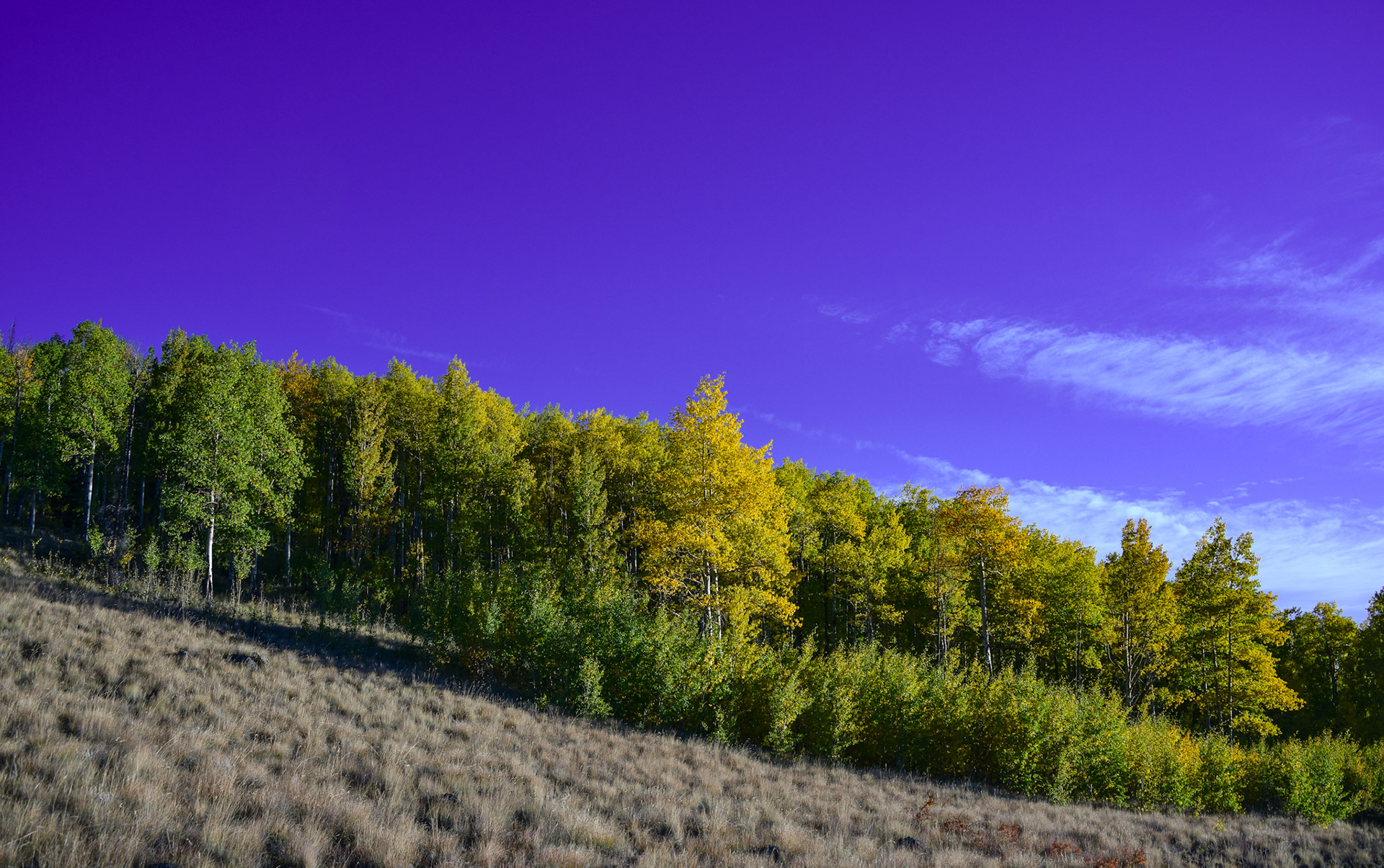 This one has grown on me.  The purple tone created from a cresting sun is super vibrant.