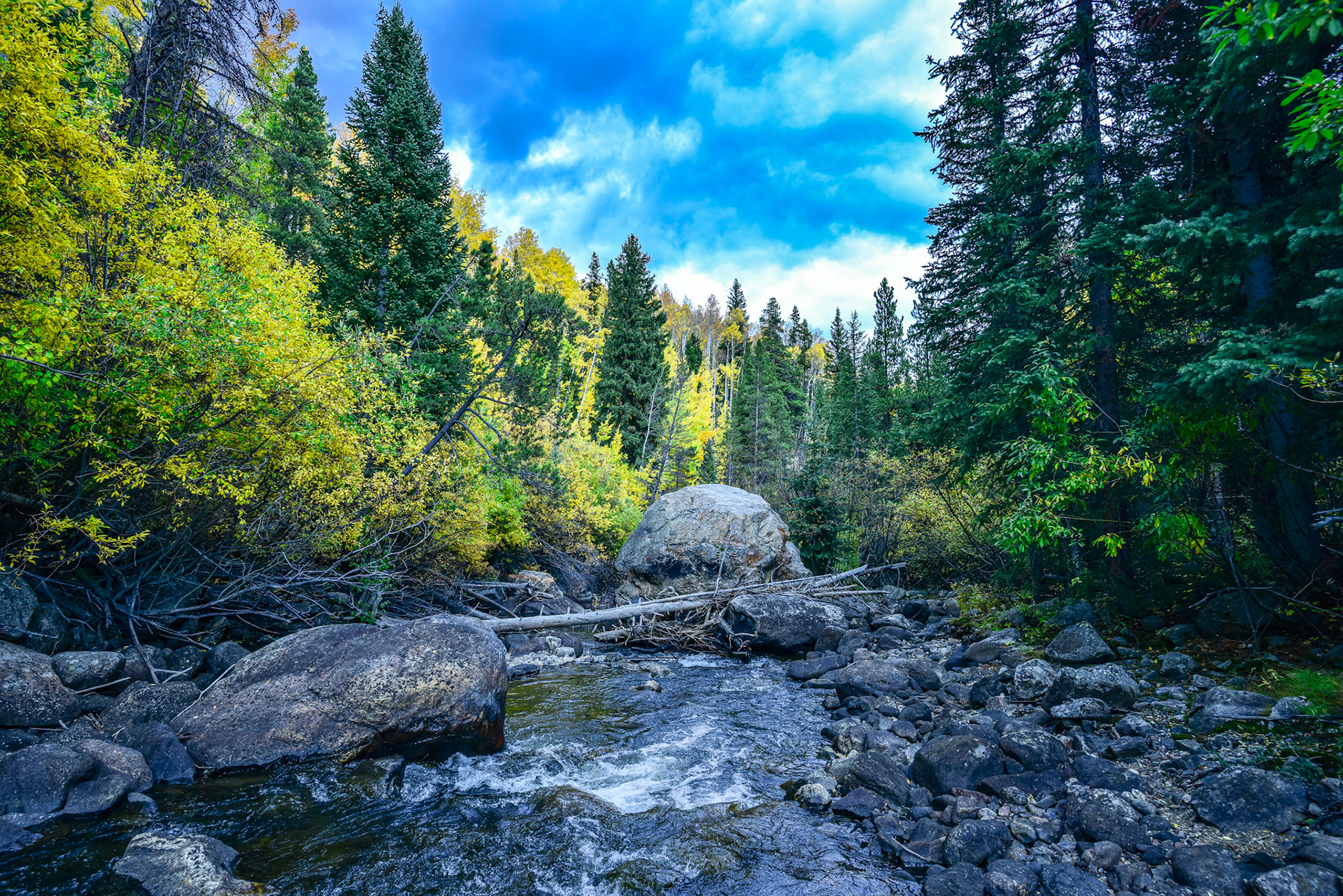 @kpphotogalleries.com