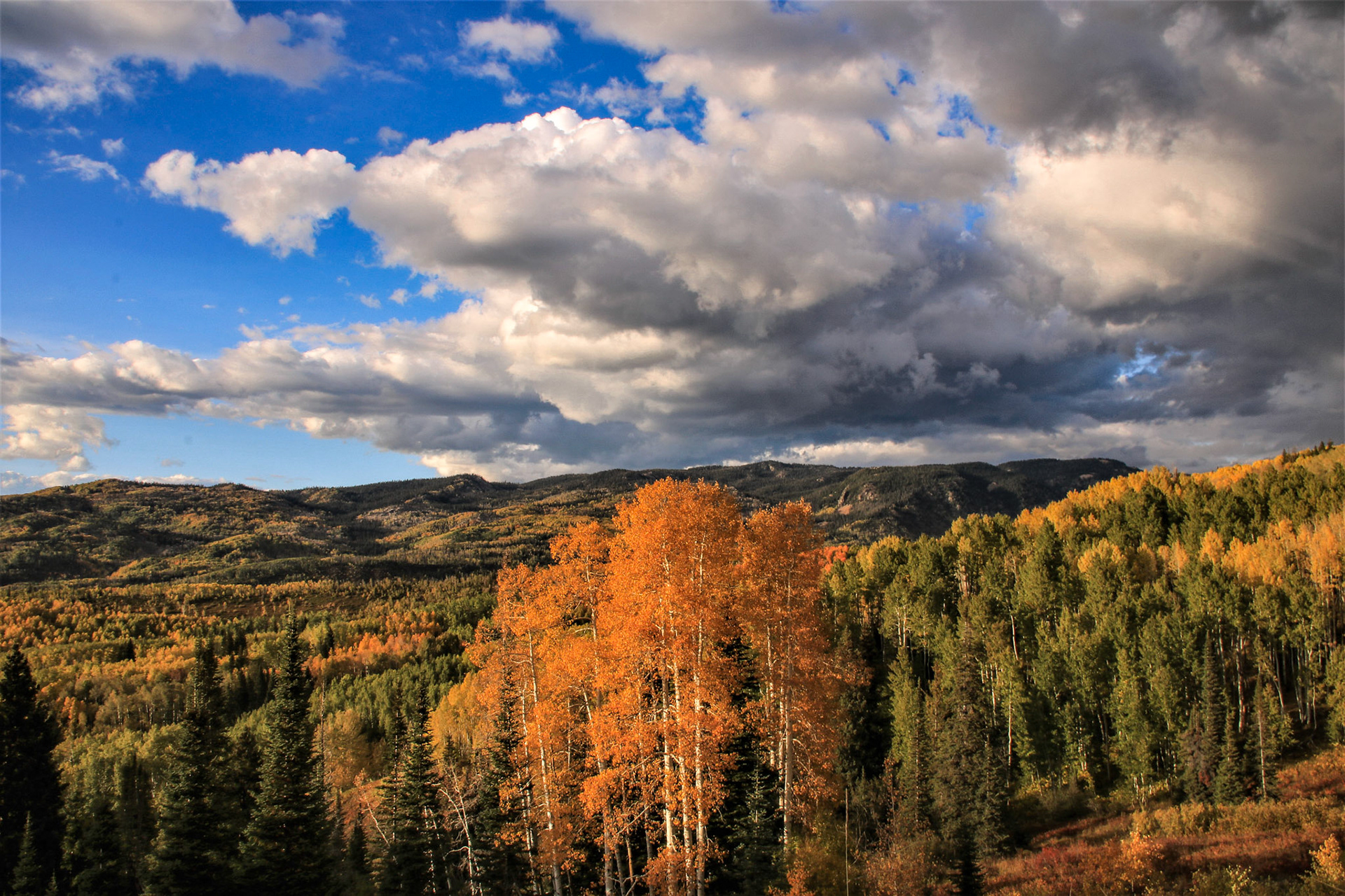 Buffalo Pass #2