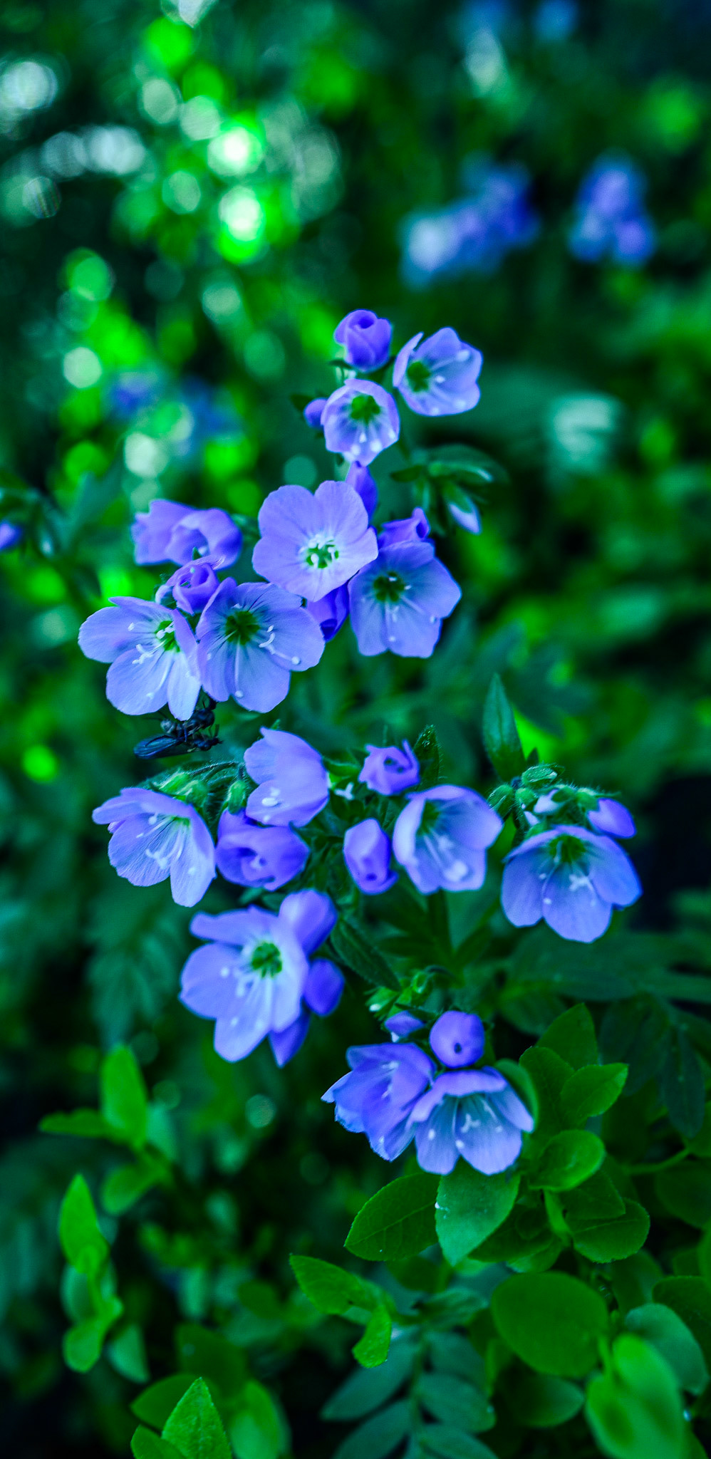 @kpphotogalleries.com