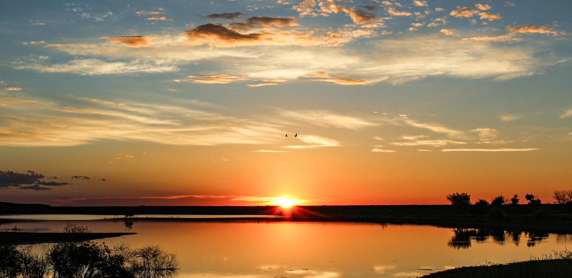 Capturing the pelicans was pure luck.