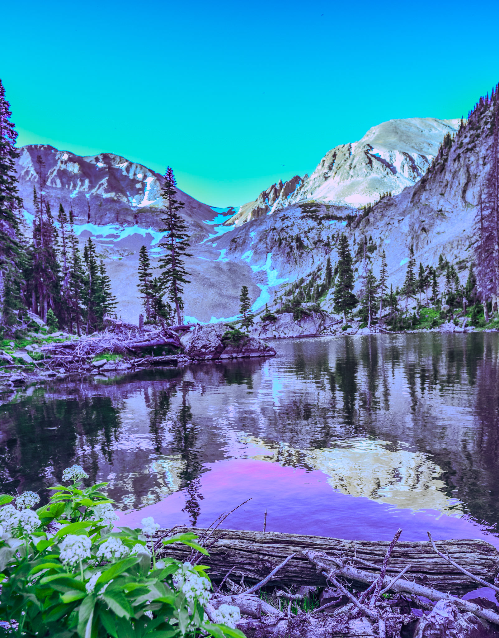 Ok, not spectacular but growing on me.