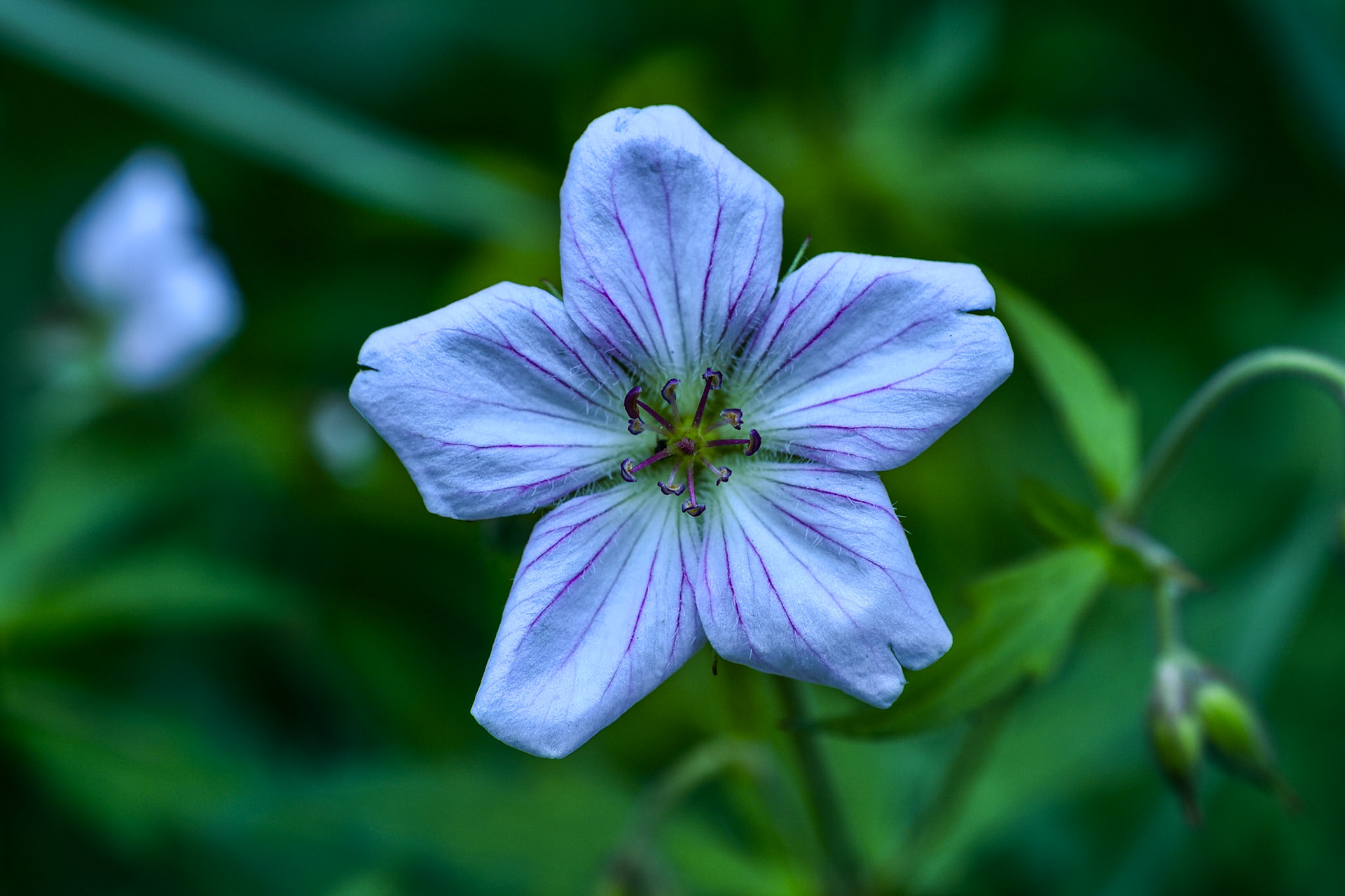 @kpphotogalleries.com