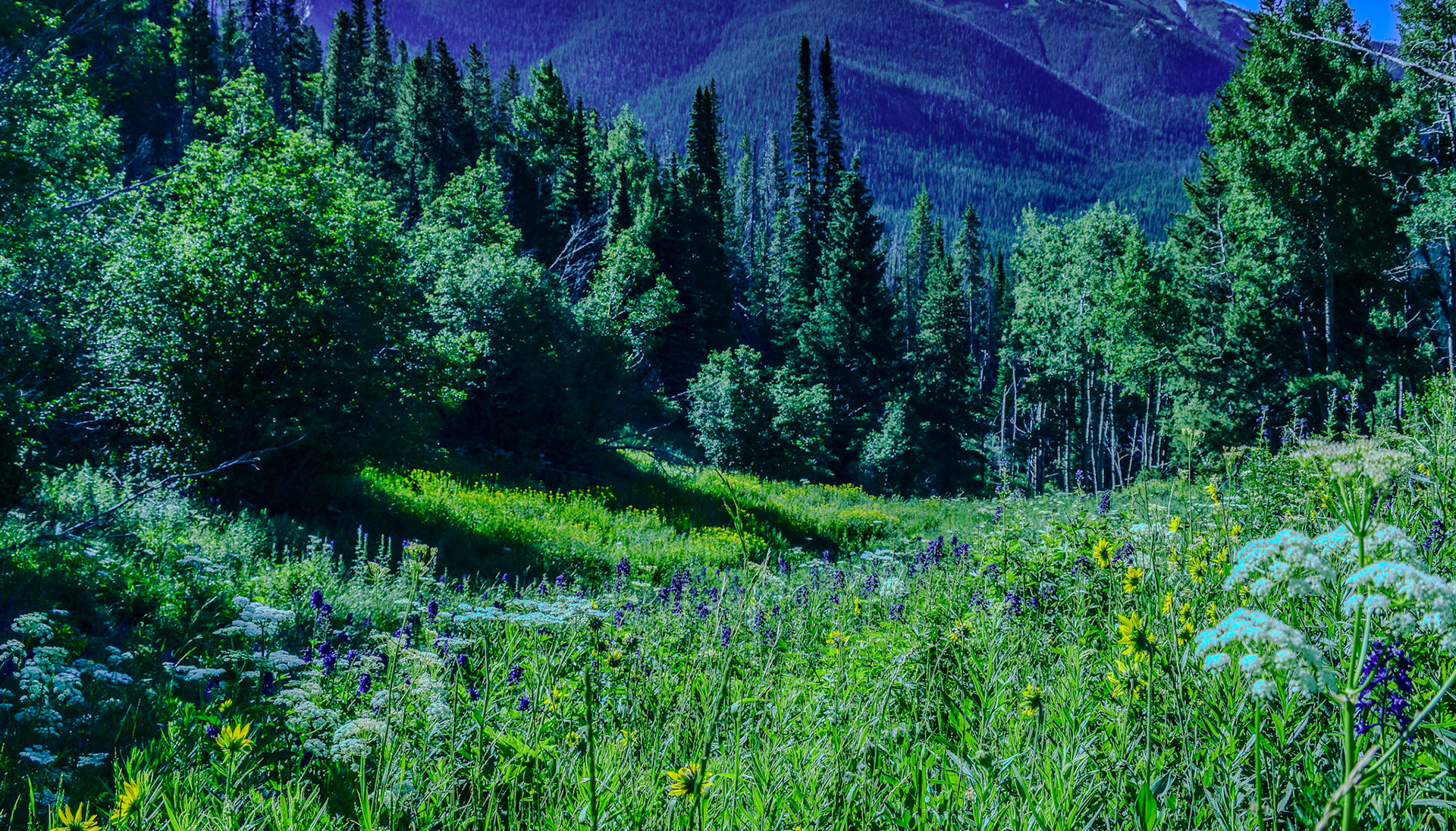 @kpphotogalleries.com