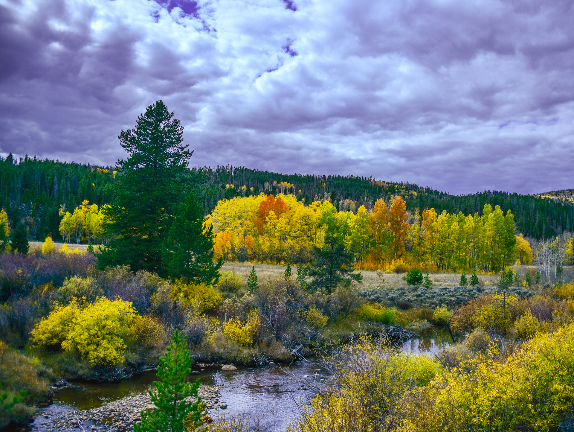 @kpphotogalleries.com