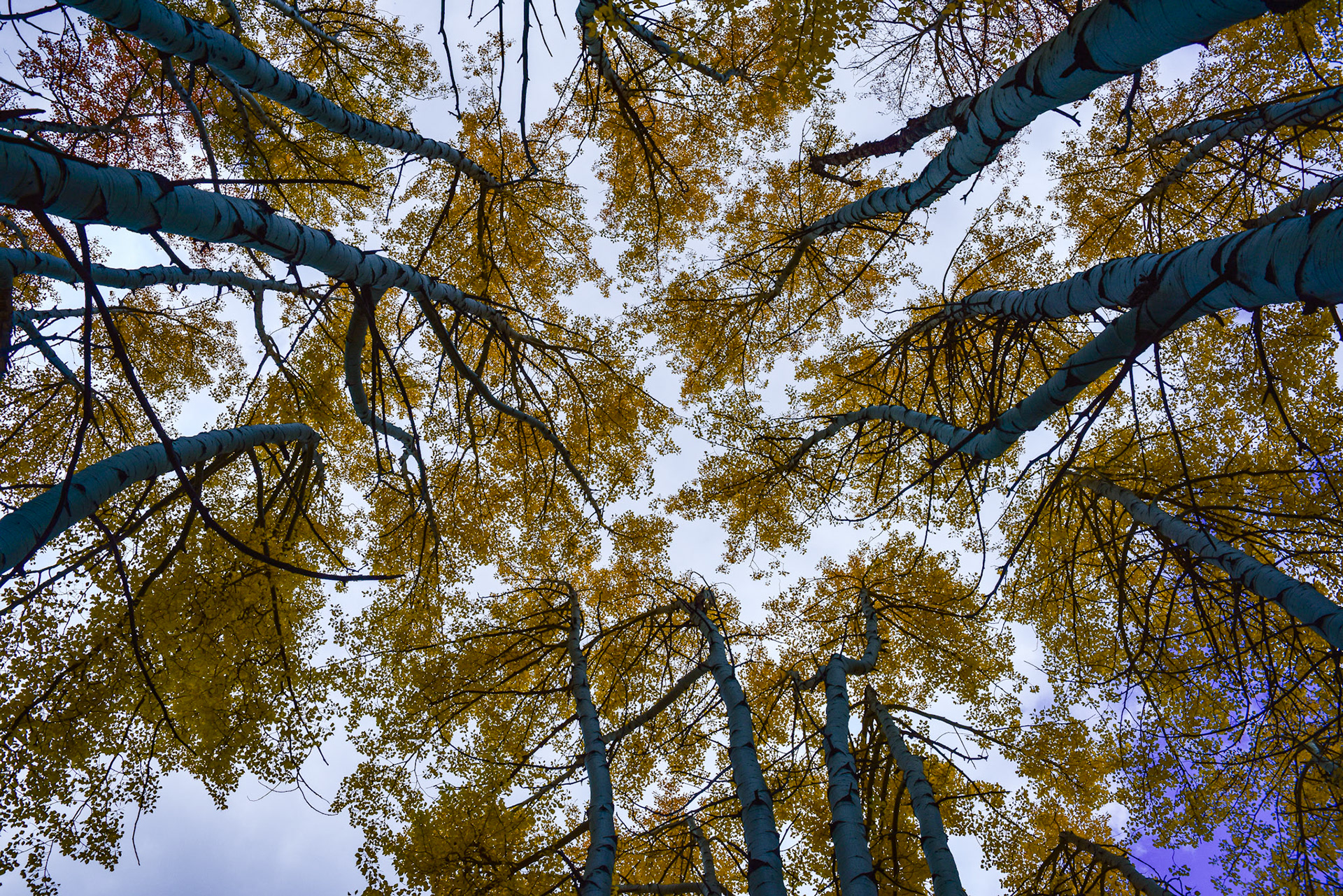 @kpphotogalleries.com