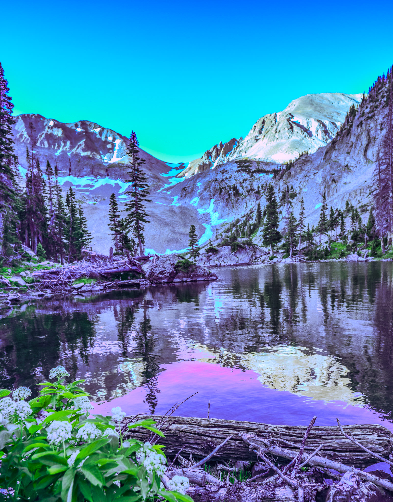 Ok, not spectacular but growing on me.  @kpphotogalleries.com