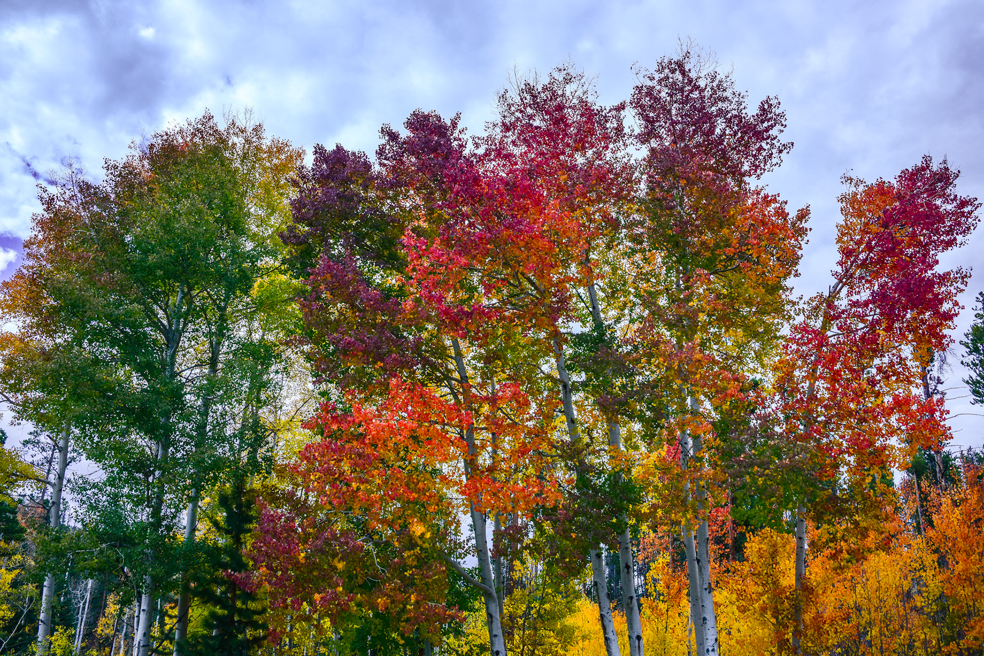 @kpphotogalleries.com