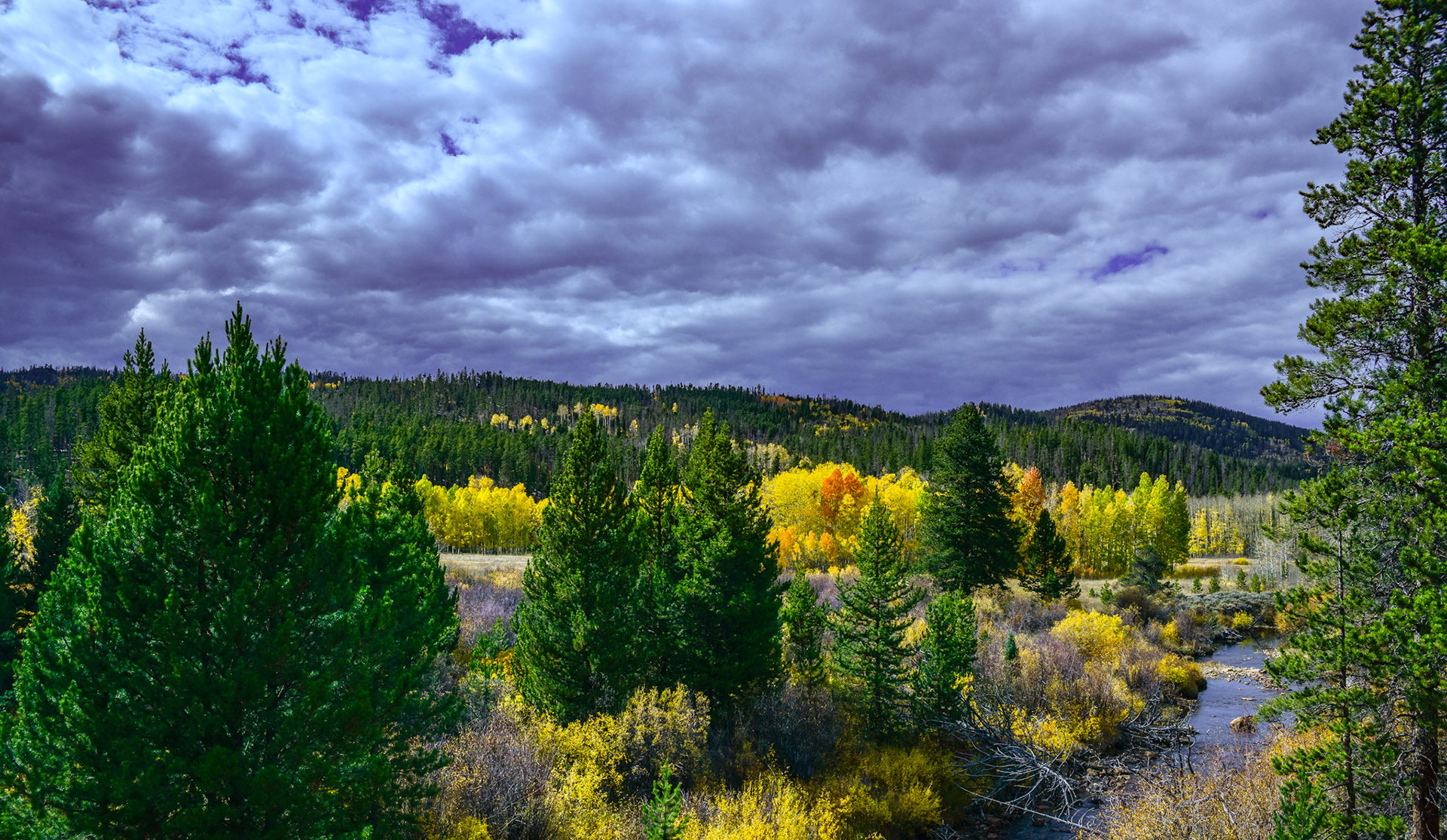 @kpphotogalleries.com