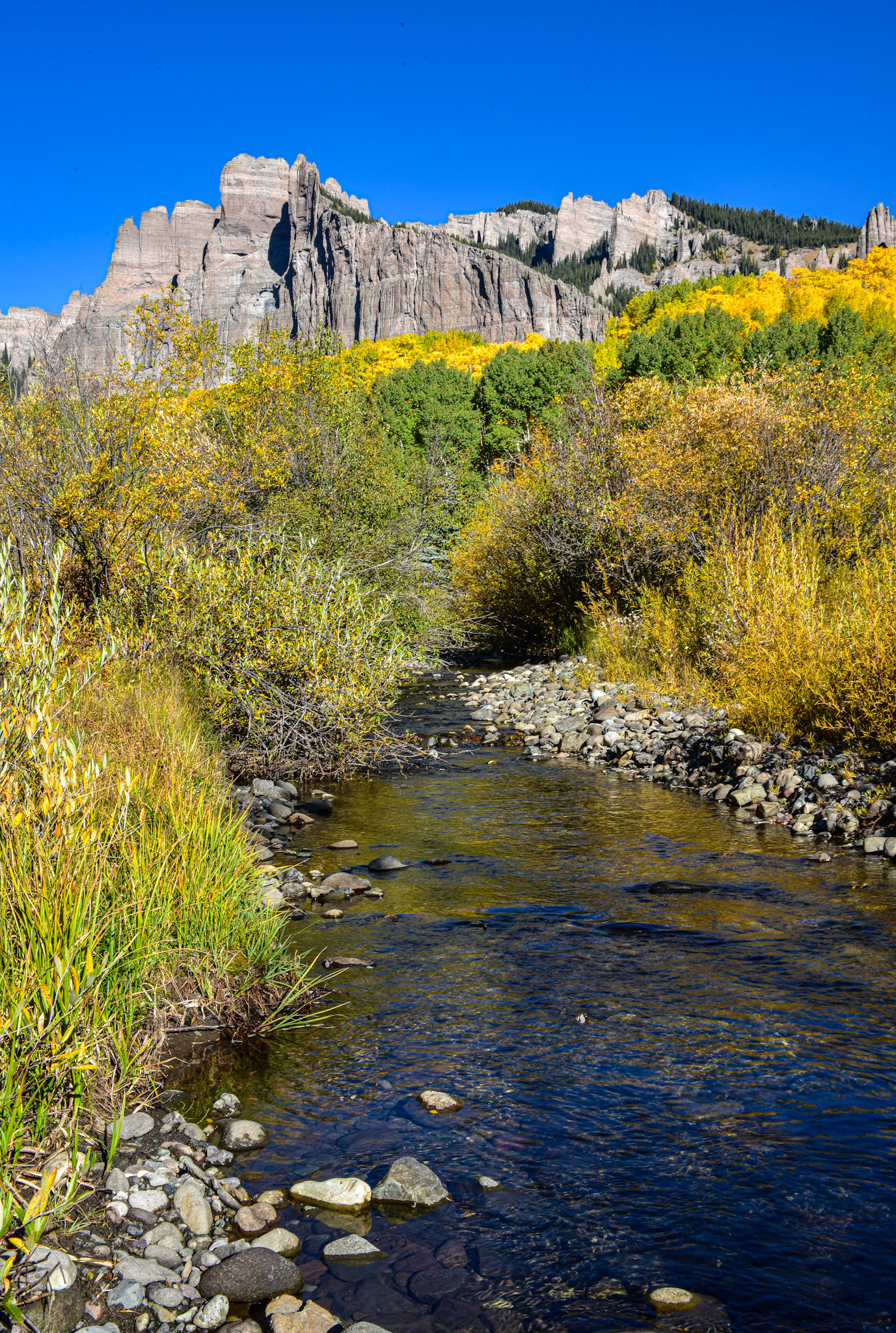 Gunnison National Forest #8
