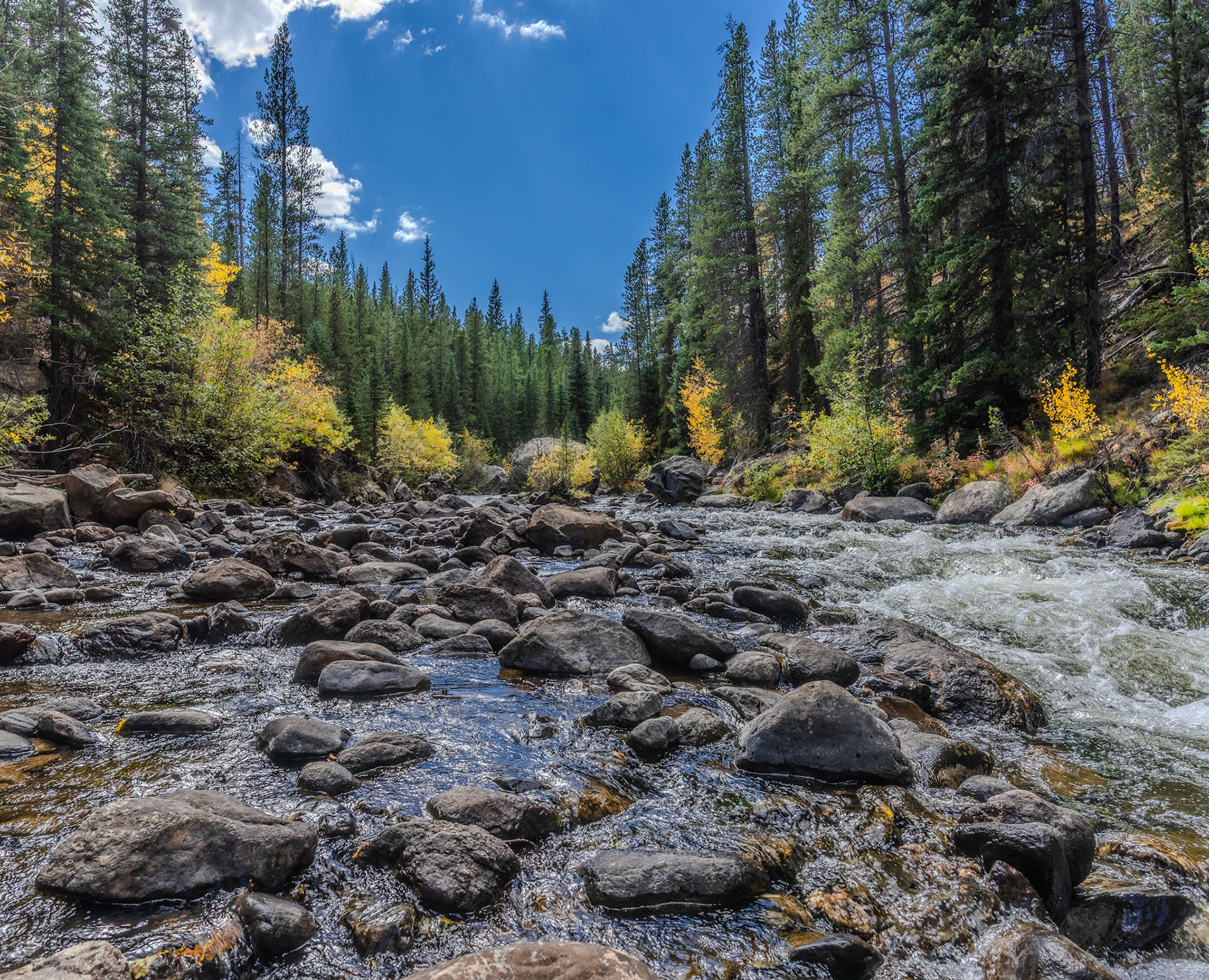 Very pleased with this one from the Cache La Poudre. @kpphotogalleries.com