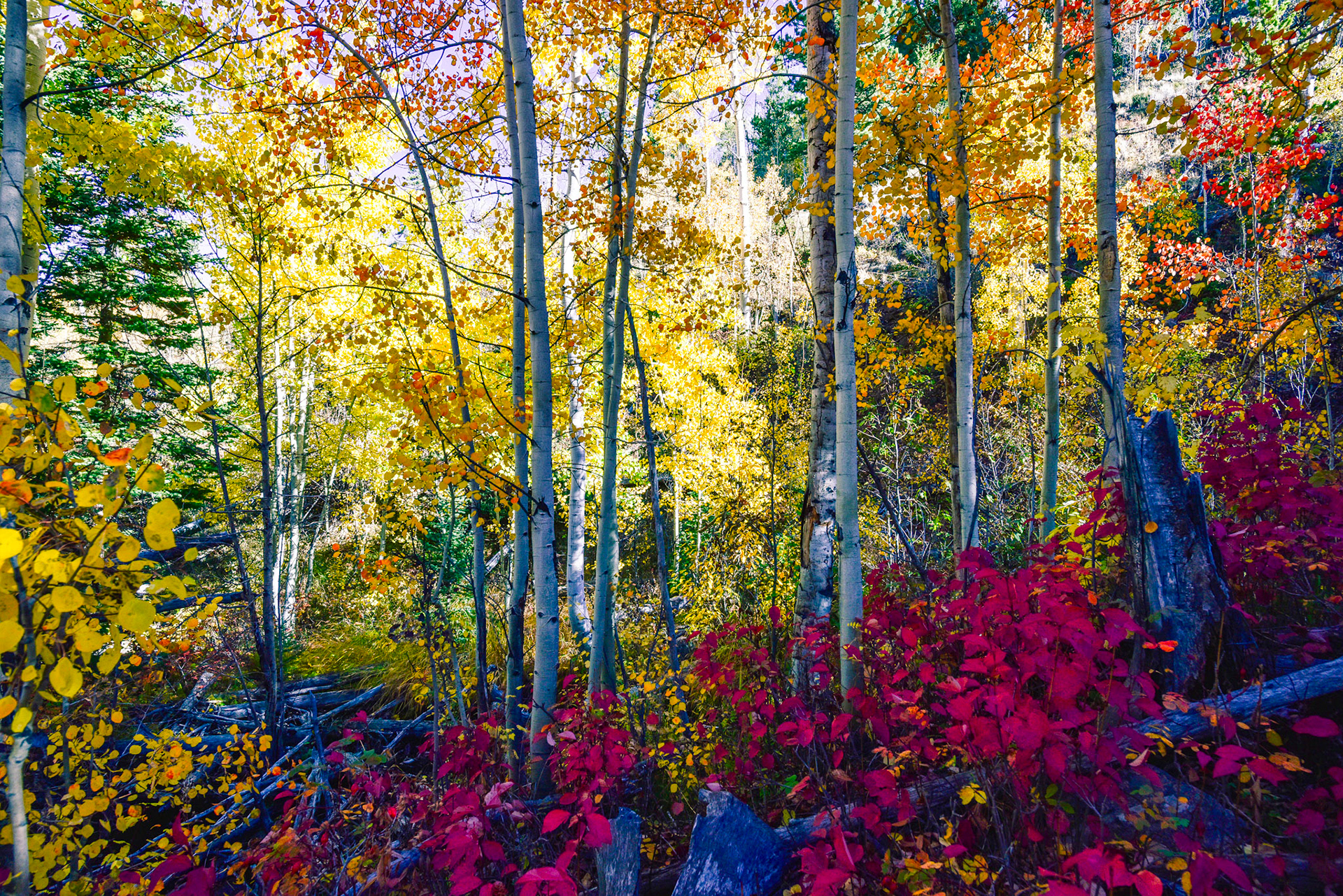 This shot is just incredible.  Well done to me. @kpphotogalleries.com