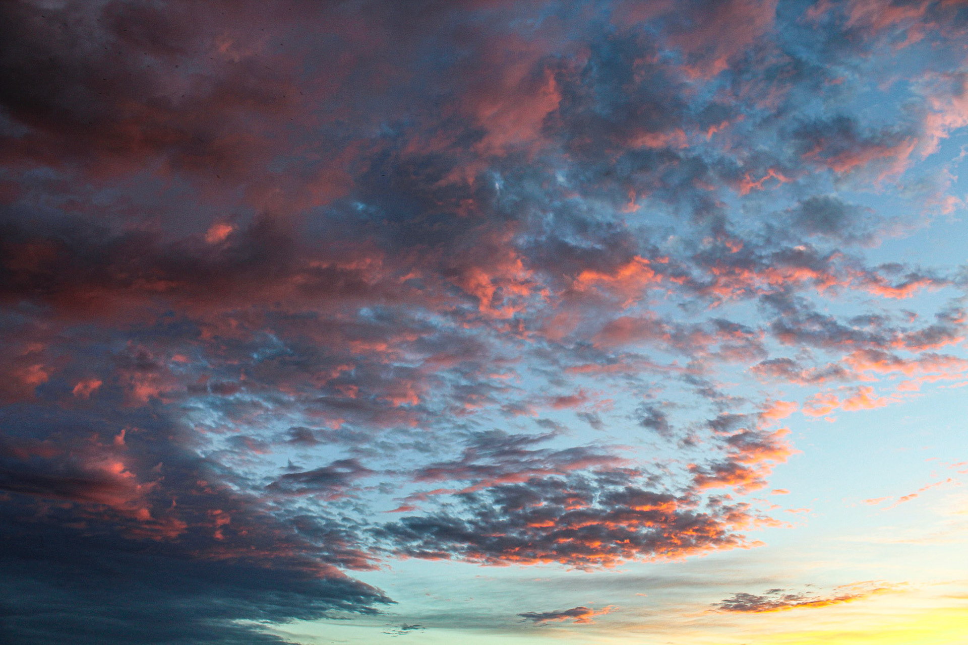 "Cotton Candy"