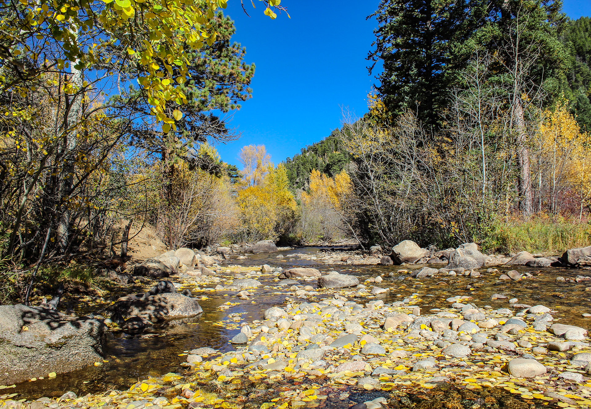Boulder Creek