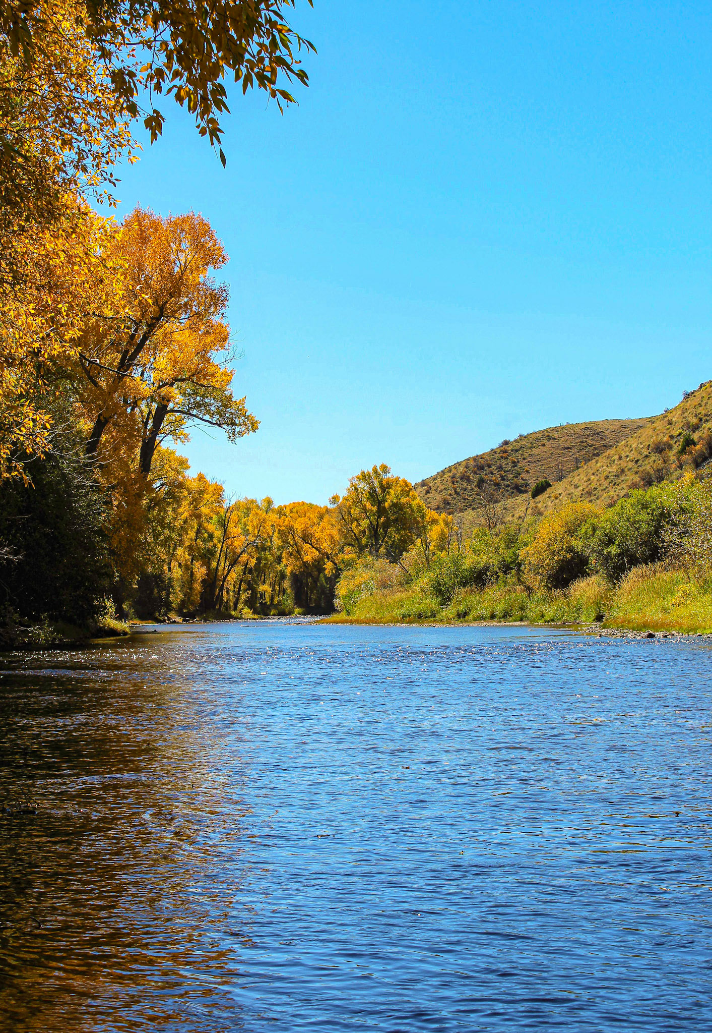 Fall arrives on the Laramie River