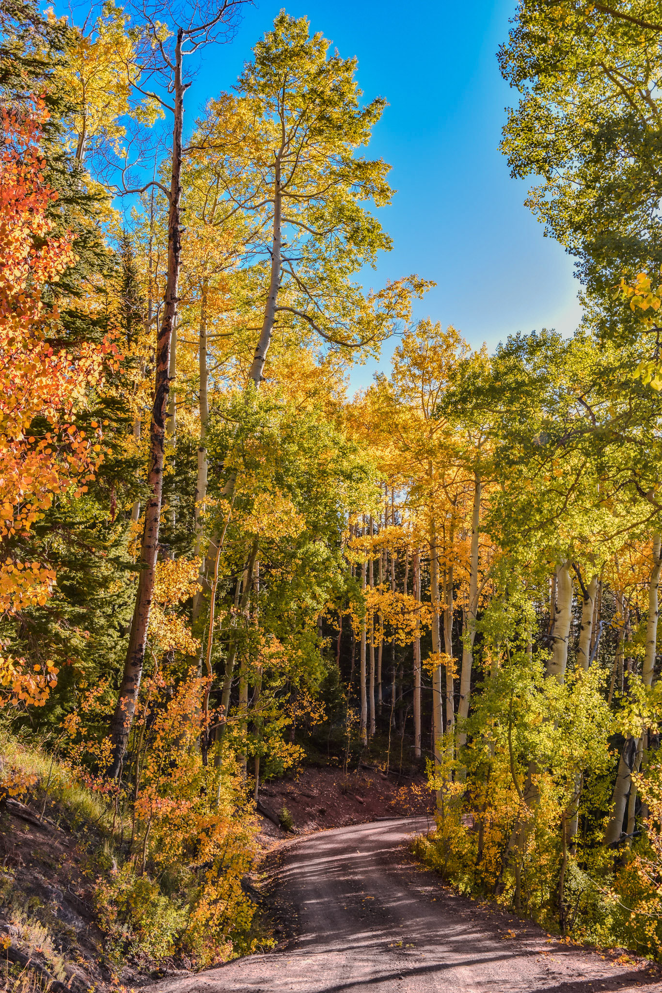 Will always be one of my favorites.  This valley is very special destination. @kpphotogalleries.com